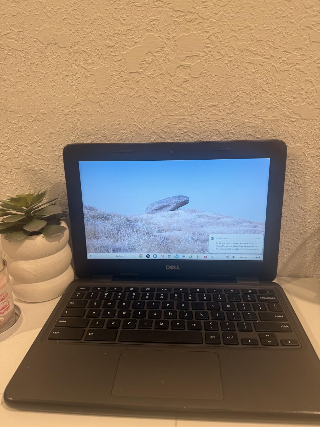Dell Chromebook 3100 - 11.6