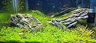 VORESTIC Aquascaping Scissors - 6.3 Inch, Terrarium & Aquarium Scissors for Plants customer photo 1