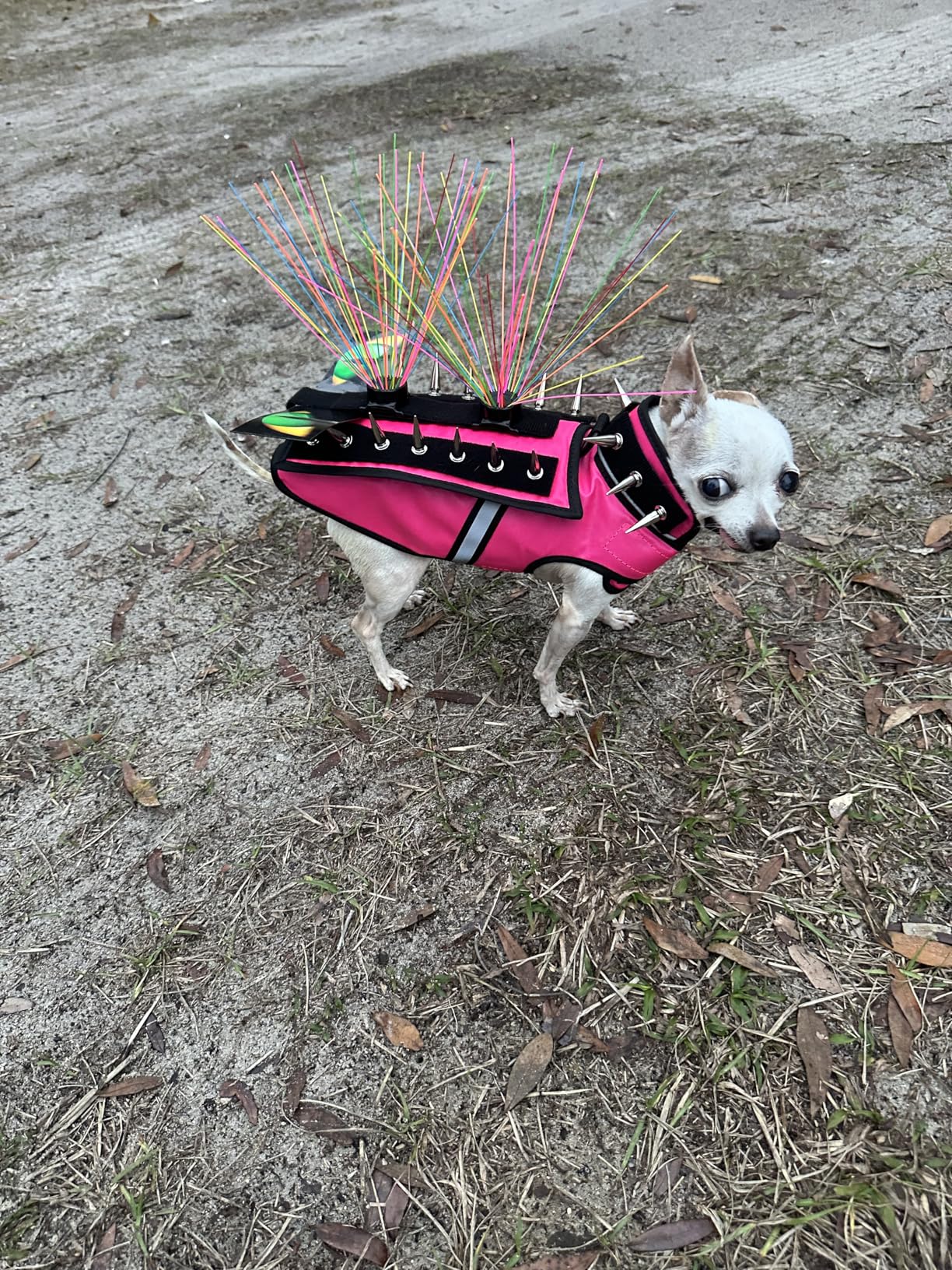 HawkShield Pad for CoyoteVest or SpikeVest, Dog Harness Vest, Protective Dog Vest Harness Add-On to Shield Your Pet from Birds of Prey, Raptor, Hawk, Coyote & Animal Attacks- (XXS, Red) customer photo 2