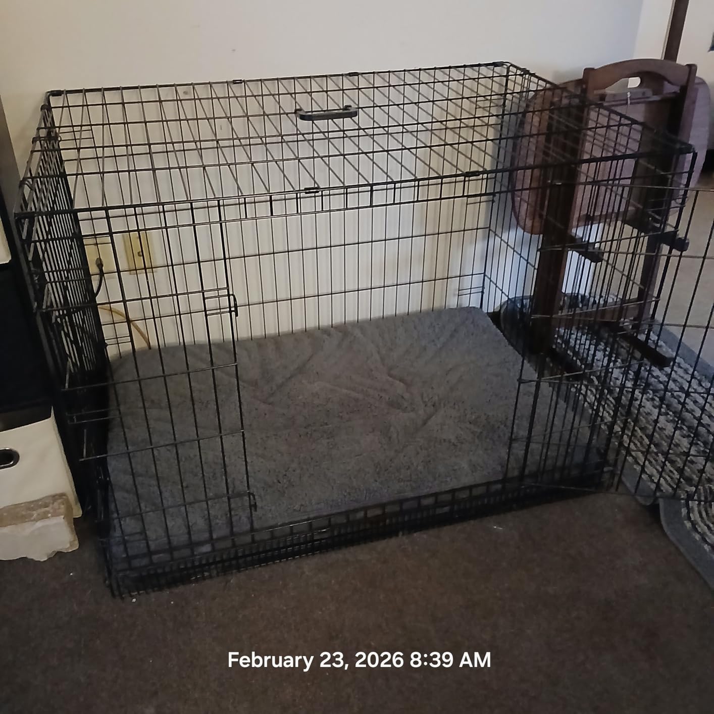 EHEYCIGA Orthopedic XL Dog Beds for Extra Large Dogs with Removable Washable Cover for Crate, Grey, 41x27 customer photo 1