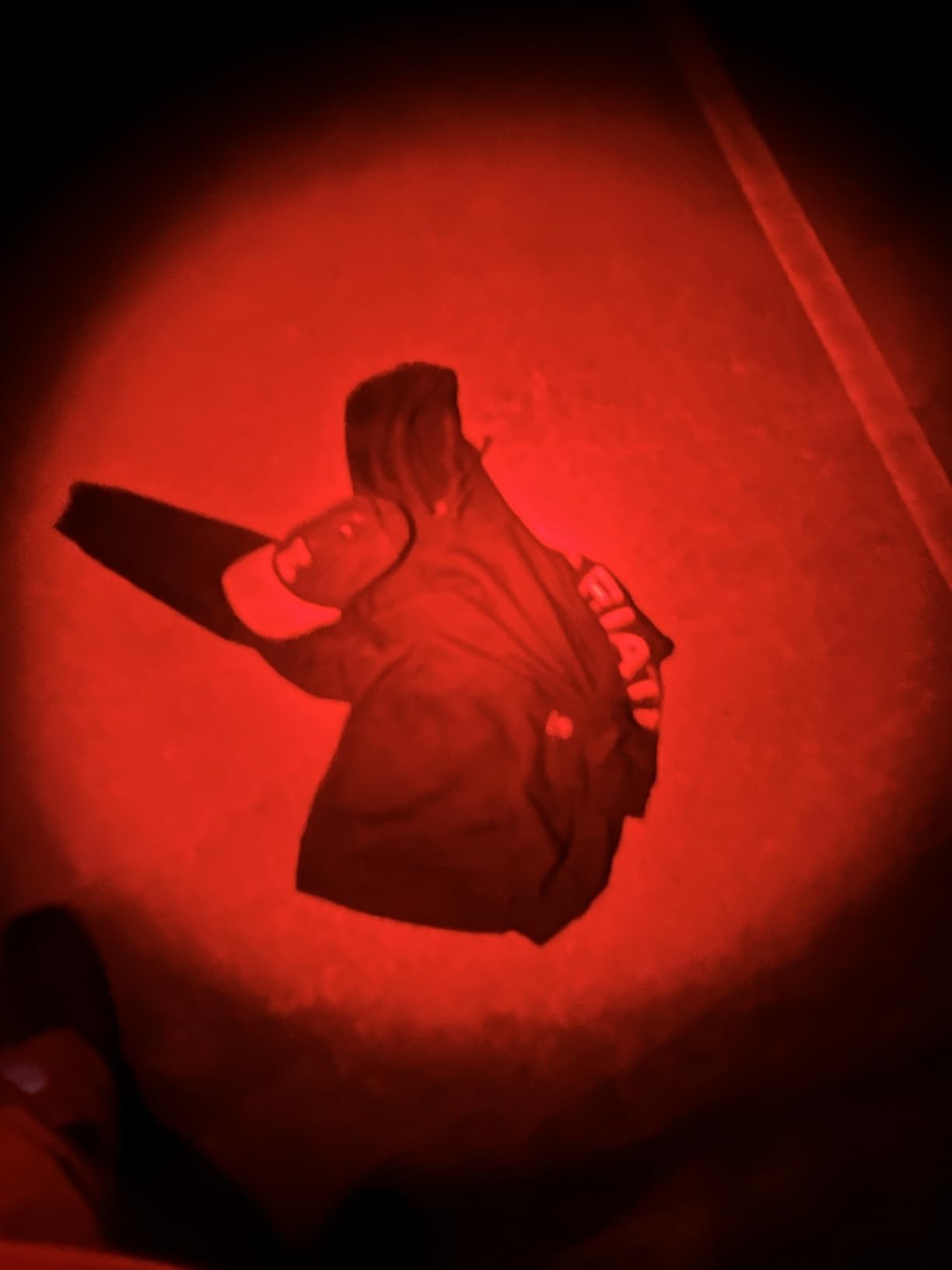 Tuanse 4 Pcs Red Light Flashlight Red LED Flashlight Pen Light Bright Torch for Night Astronomy Aviation Observation Turtle Safe Beach customer photo 2
