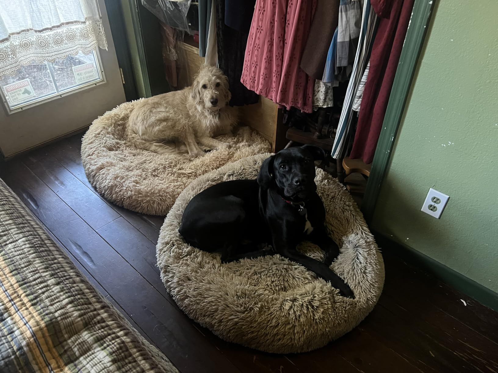 Bedfolks Calming Donut Dog Bed, 36 Inches Round Fluffy for Large Dogs, Anti-Anxiety Plush, Machine Washable (Dark Grey, Large) customer photo 1
