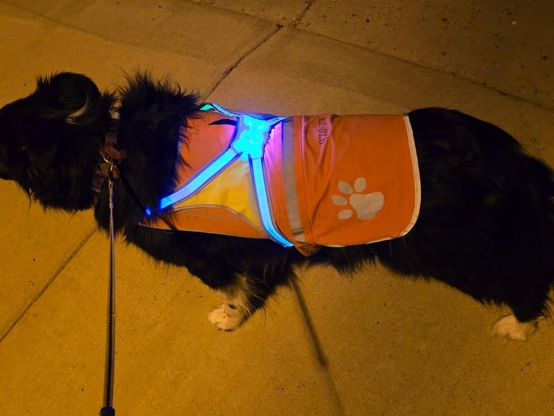 Noxgear LightHound - Revolutionary Illuminated and Reflective Harness for Dogs Including Multicolored LED Fiber Optics (USB Rechargeable, Adjustable, Lightweight, Rainproof) (Large) customer photo 1