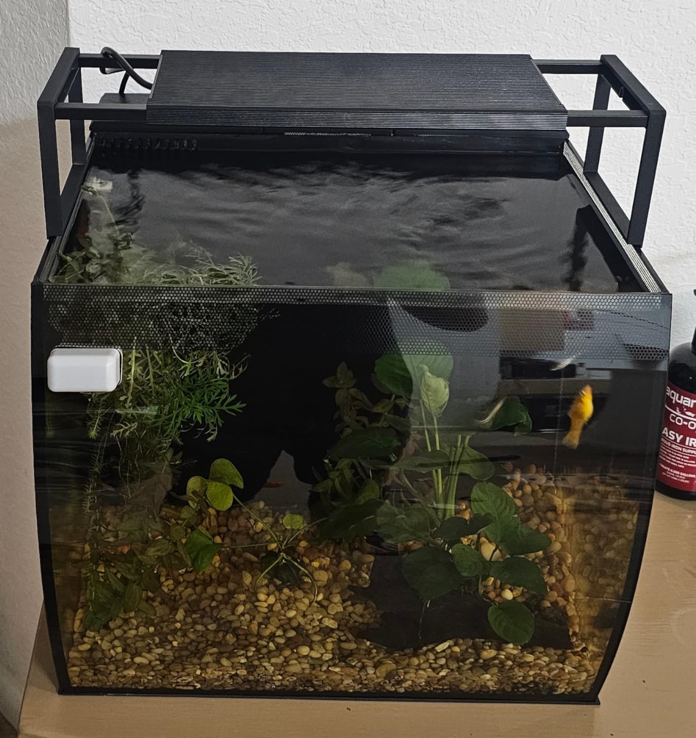 Chihiros WRGBII Slim Edition 45 - Full Spectrum Aquarium LED Light for Fish Tanks - High Intensity for Coral Reef & Aquatic Plant Display, Bluetooth App Control, Sunrise & Sunset Custom Modes - 45cm customer photo 1