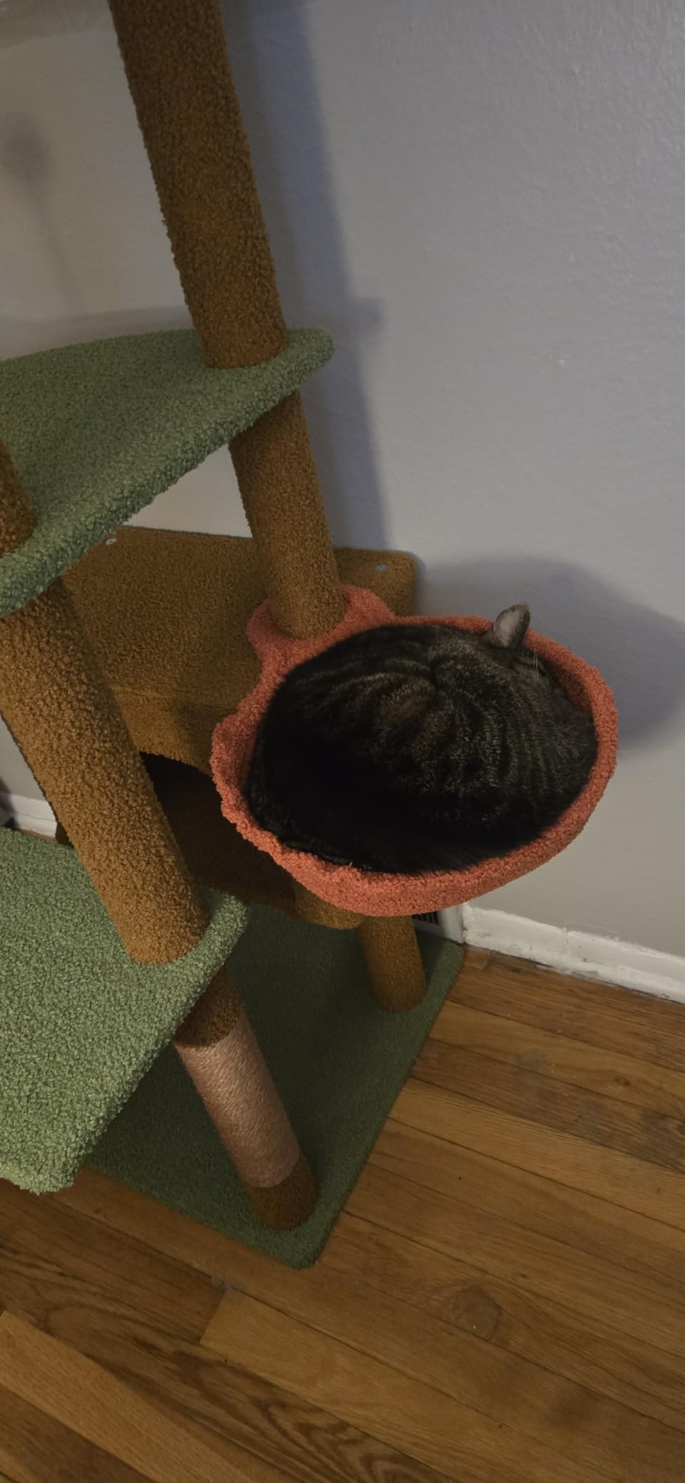 PETEPELA Floor to Ceiling Cat Tree, Cat Tower 5-Tier Height(95-107 Inches) Adjustable, Tall Cat Climbing Tree Featuring with Scratching Post, Cozy Bed,Interactive Ball Toy for Indoor Cats/Kitten Beige customer photo 2