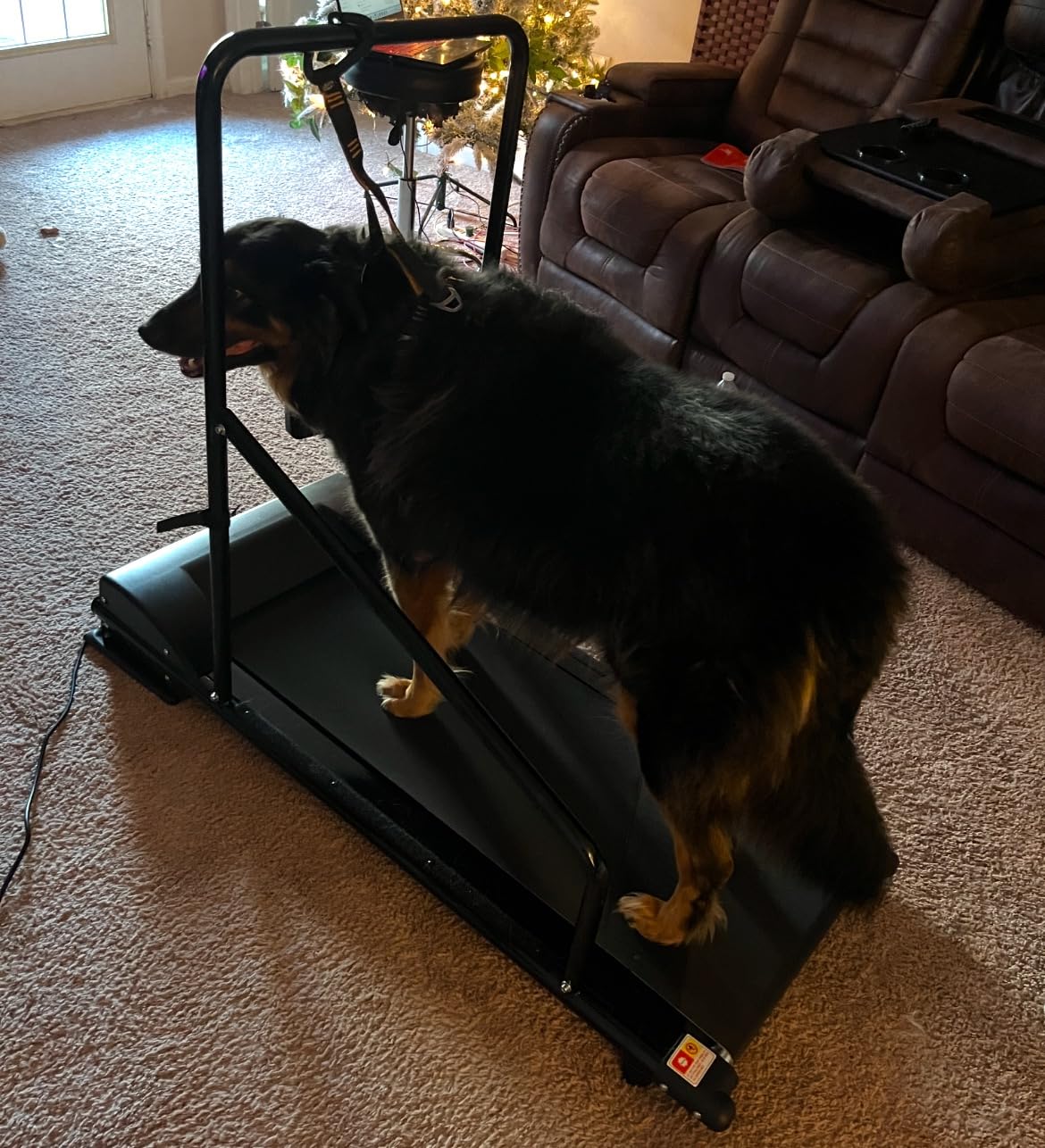 Lifepro PawRunner Dog Treadmill for Small Dogs, Dog Treadmill for Medium Dogs, Pet Treadmill for Dogs up to 130lbs, Dog Pacer Treadmill Indoor Dog Running Machine, Small Dog Treadmill for Dog Fitness customer photo 1