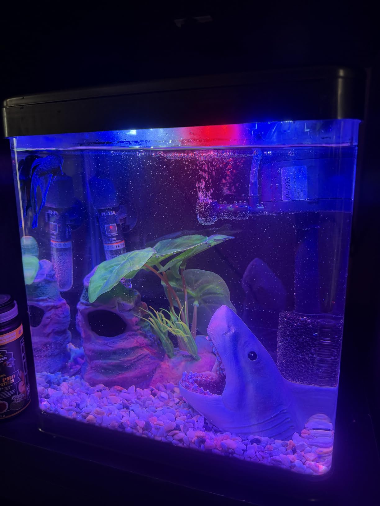 Betta Fish Tank Self Cleaning Glass 2 Gallon Small Nano Aquarium Starter Kits with LED Light Decorations & Whisper Filters Water Pump customer photo 1