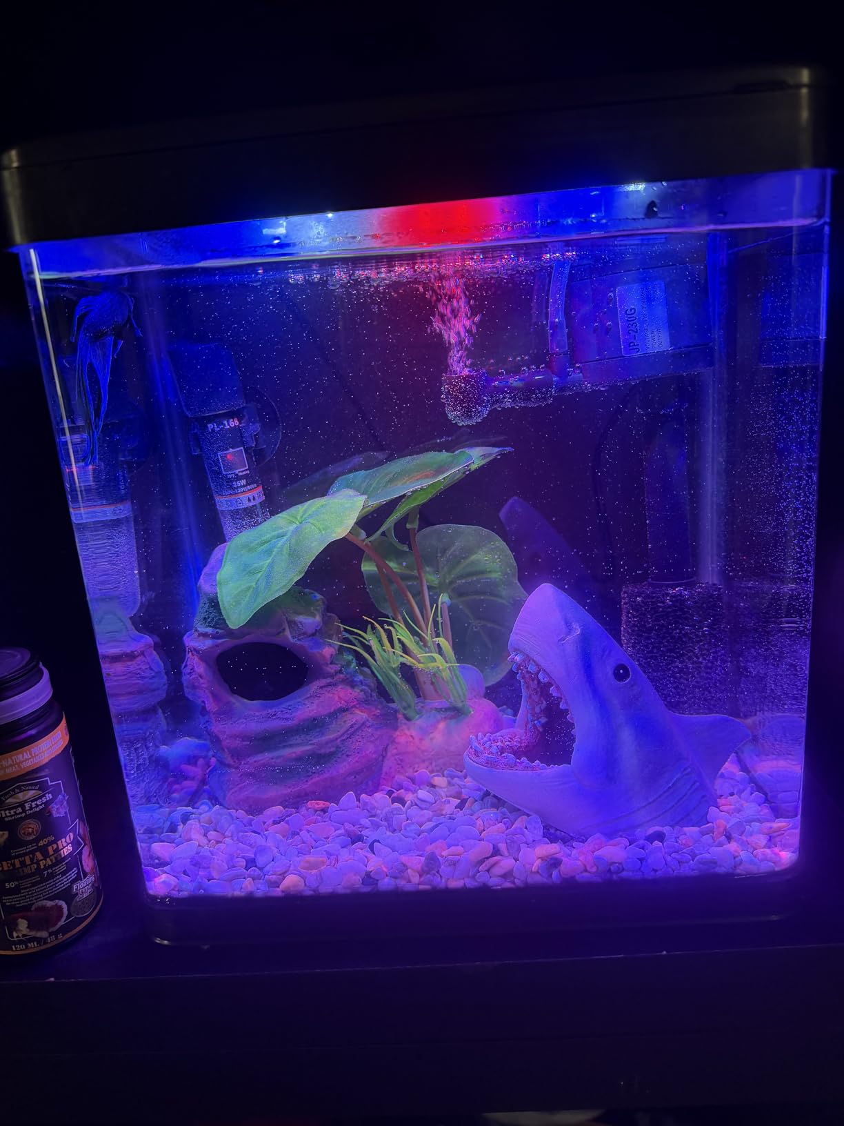 Betta Fish Tank Self Cleaning Glass 2 Gallon Small Nano Aquarium Starter Kits with LED Light Decorations & Whisper Filters Water Pump customer photo 2