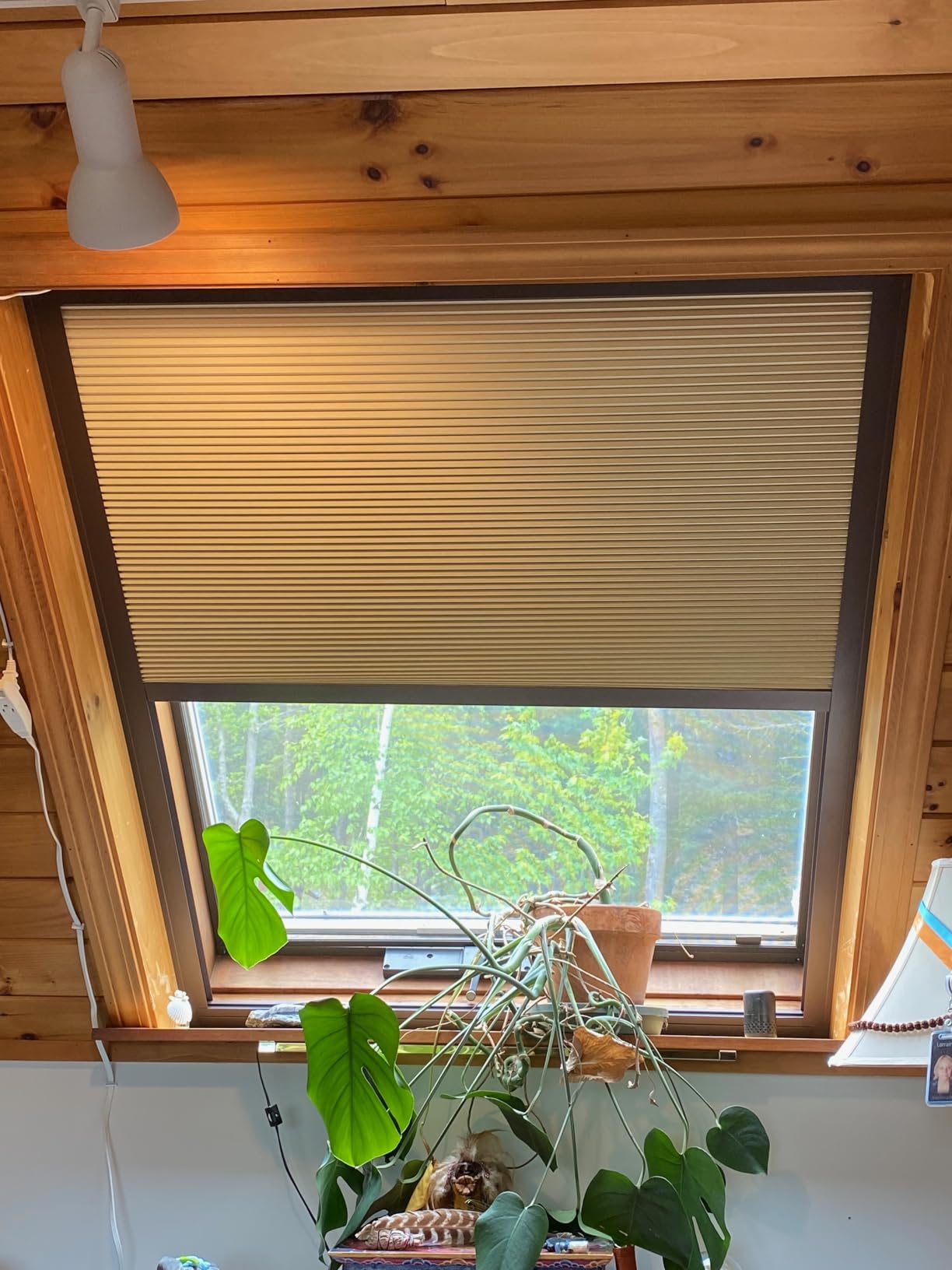 Zshine Motorized Cellular Shades Cordless Honeycomb Blinds Full Blackout Fabric Window Shades for Skylight customer photo 2