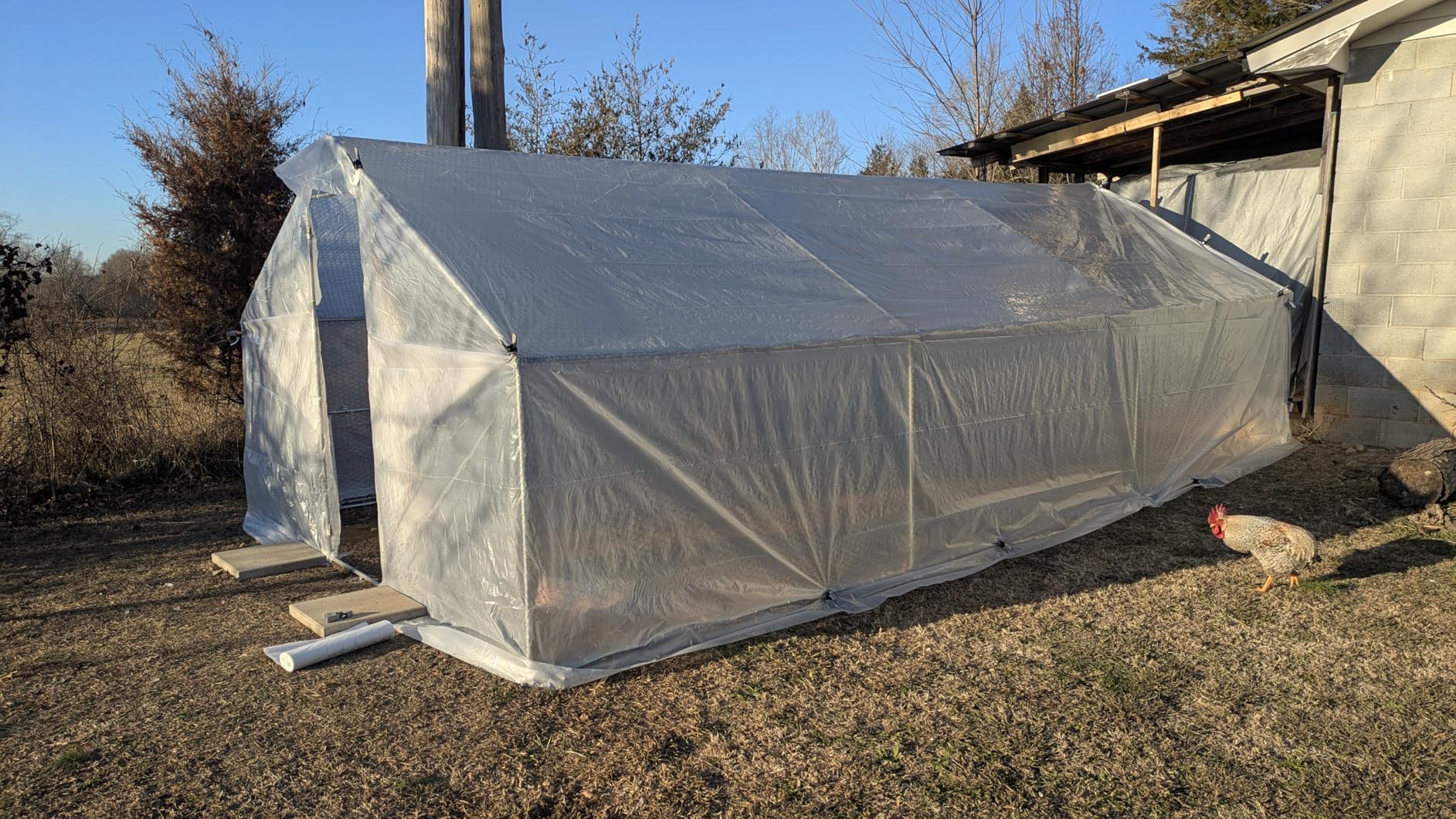 LEMBERI Metal Large Chicken Coop, Spire Shape Walk-in Poultry Chicken Hen cage, Rabbits Duck Cages with Waterproof and Anti-Ultraviolet Cover for Outside, Backyard and Farm customer photo 1