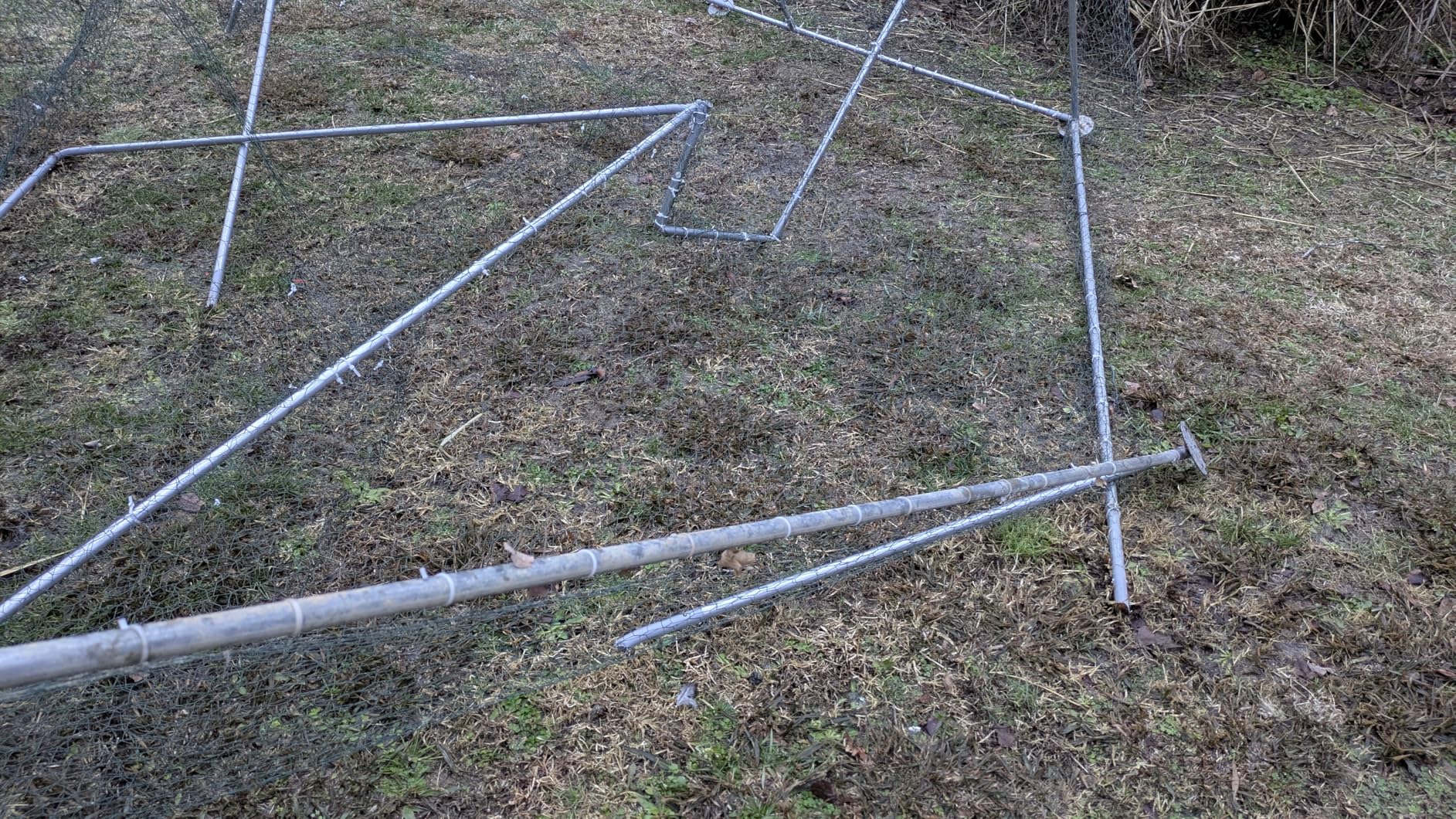 LEMBERI Metal Large Chicken Coop, Spire Shape Walk-in Poultry Chicken Hen cage, Rabbits Duck Cages with Waterproof and Anti-Ultraviolet Cover for Outside, Backyard and Farm customer photo 2