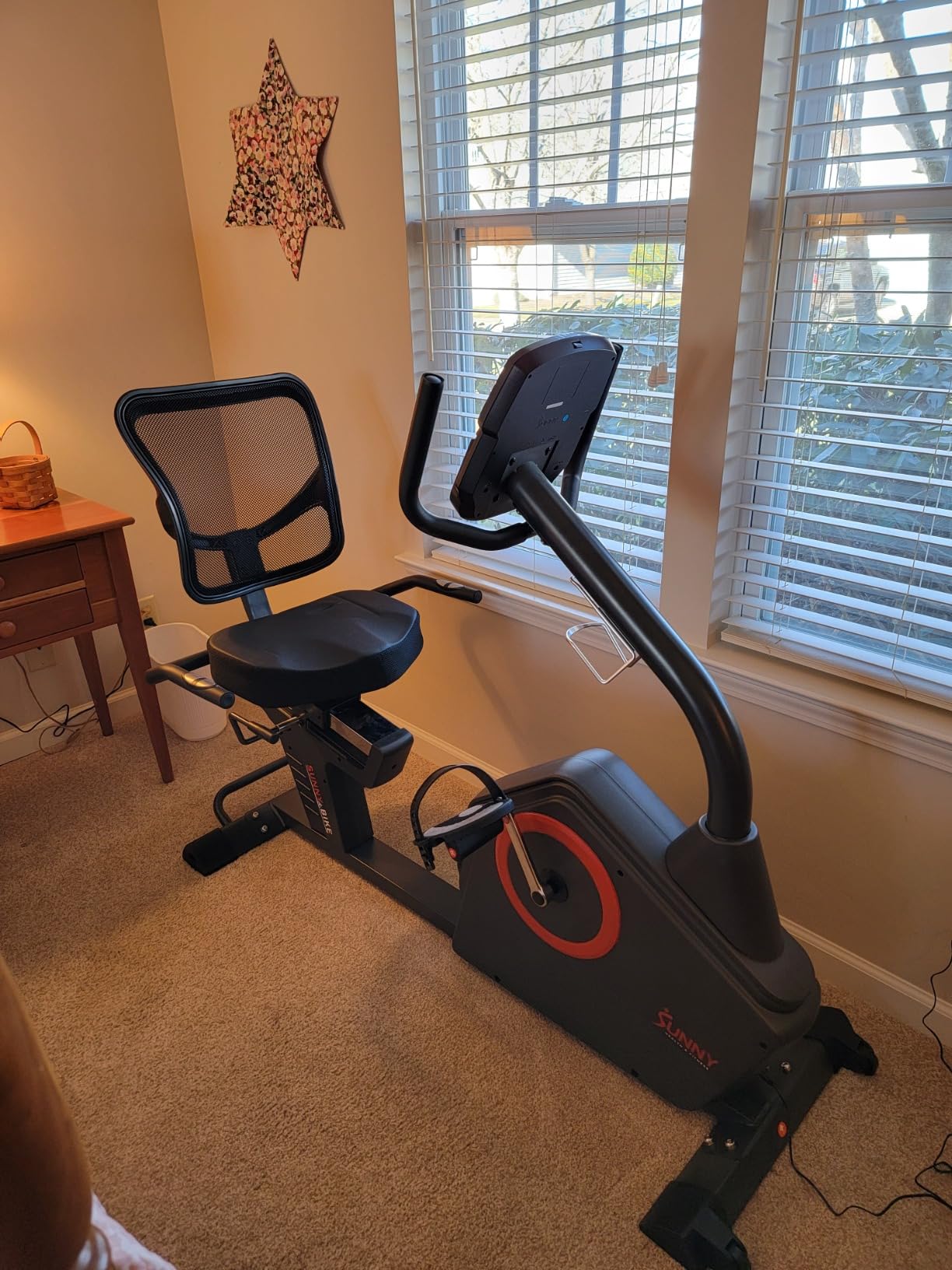 Sunny Health & Fitness Smart Recumbent Bike with Pulse Sensors, Home Cycling Workout Machine w/Cushion Seat & Mesh-Backrest, Free SunnyFit App Connection, Optional Programmable & Electro-Magnetic customer photo 2