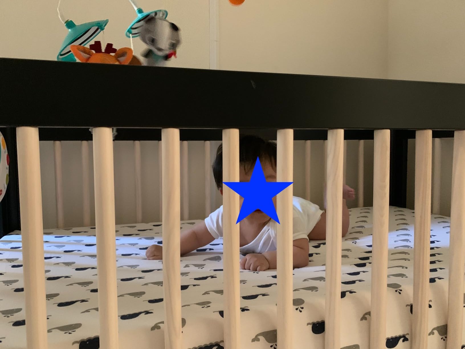 Babyletto Lolly 3-in-1 Baby Crib Convertible to Toddler Bed & Daybed, GREENGUARD Gold Certified, 4 Adjustable Heights - Includes Toddler Conversion Kit, Made of 100% Solid Wood - Canyon/Washed Natural customer photo 1