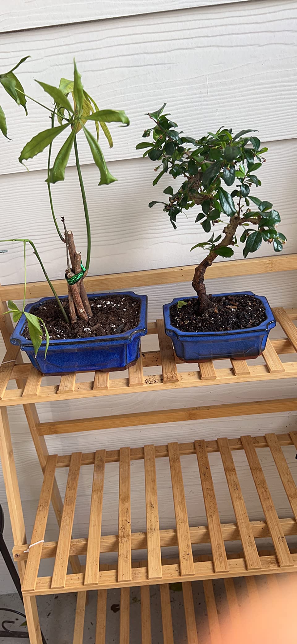 MUZHI 3 Pack Ceramic Rectangular Bonsai Tree Planter Pot Set 6