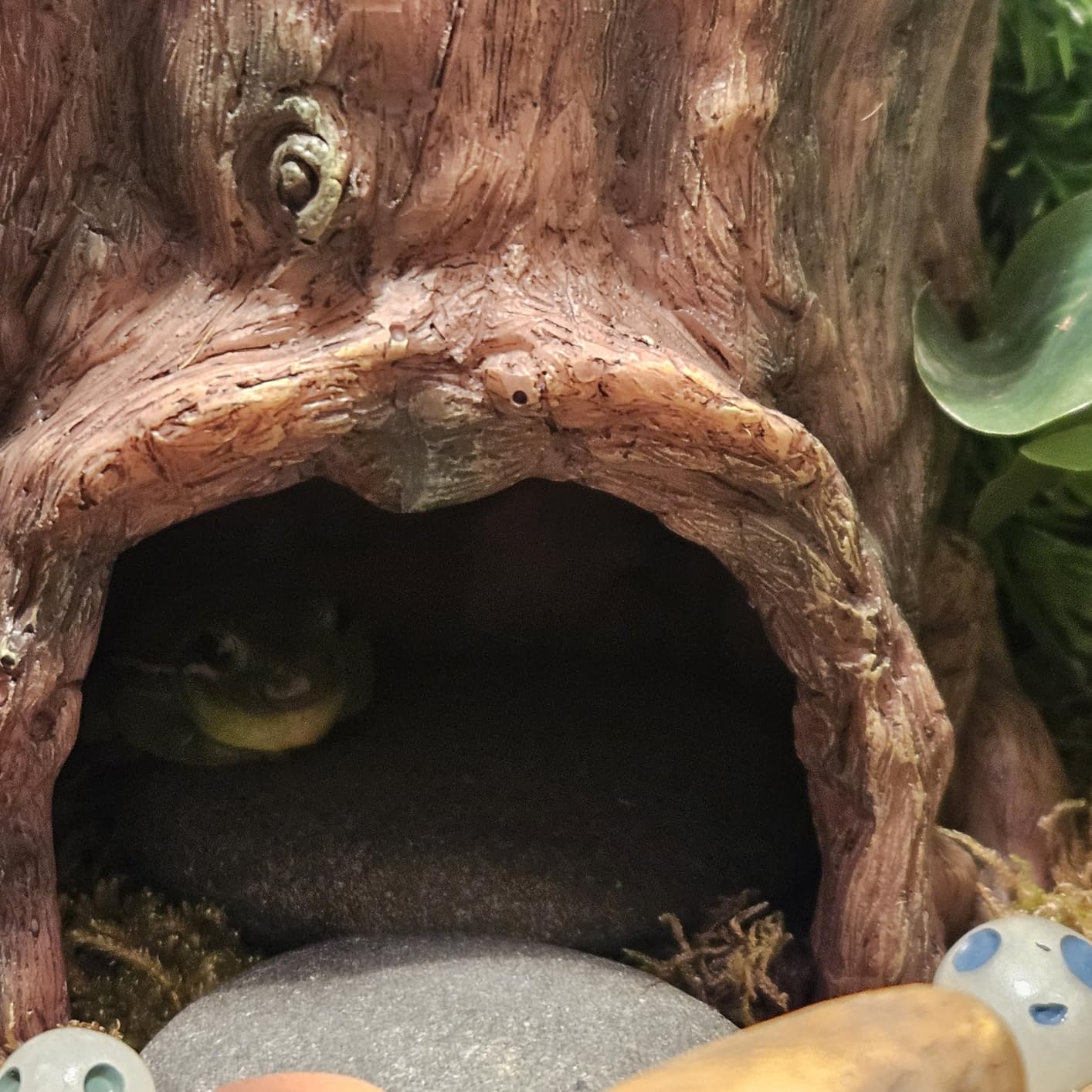 REPTIZOO Reptile Hide Cave Resin Moisture Keeping Reptile Cave with Clay Water Basin Humidifying Help Shedding customer photo 2