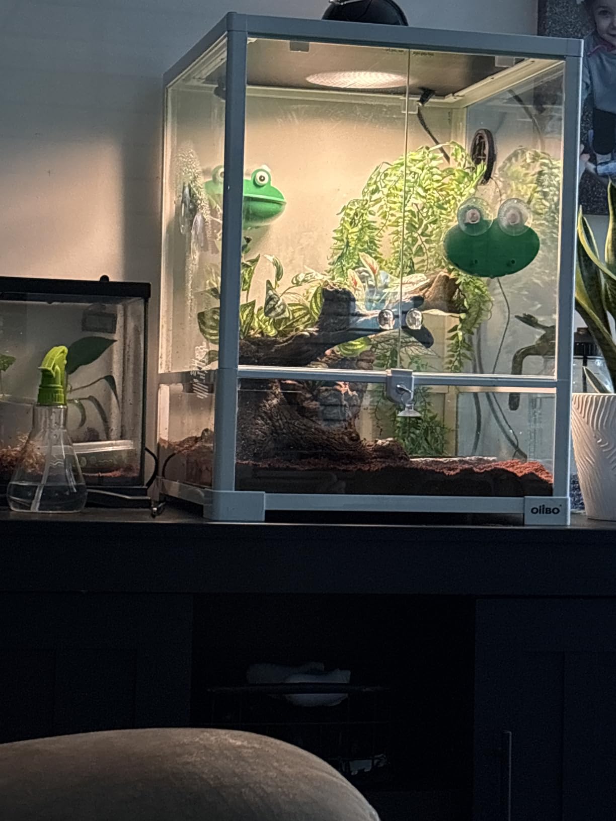OIIBO Full Glass Long Tank Reptile Terrarium 20 Gallon, Front Opening Terrarium 30