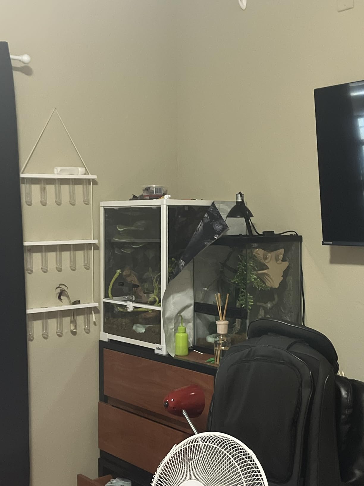 OIIBO Full Glass Long Tank Reptile Terrarium 20 Gallon, Front Opening Terrarium 30