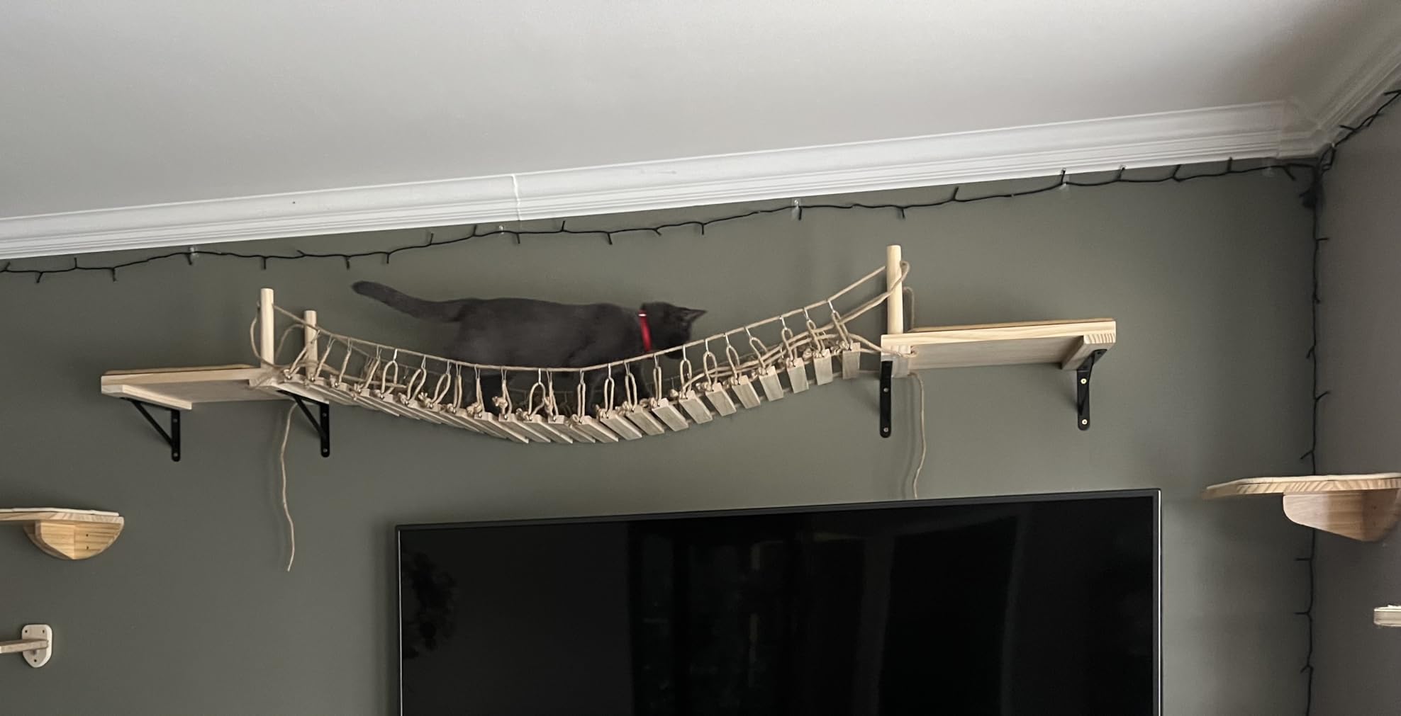 A.FATI Wall-Mounted Cat Roped Bridge Long for Indoor Cats, Cat Wall Shelves for Sleeping, Playing, Climbing, Wooden Cats Bed and Perches with Sisal Scratch Mat customer photo 1