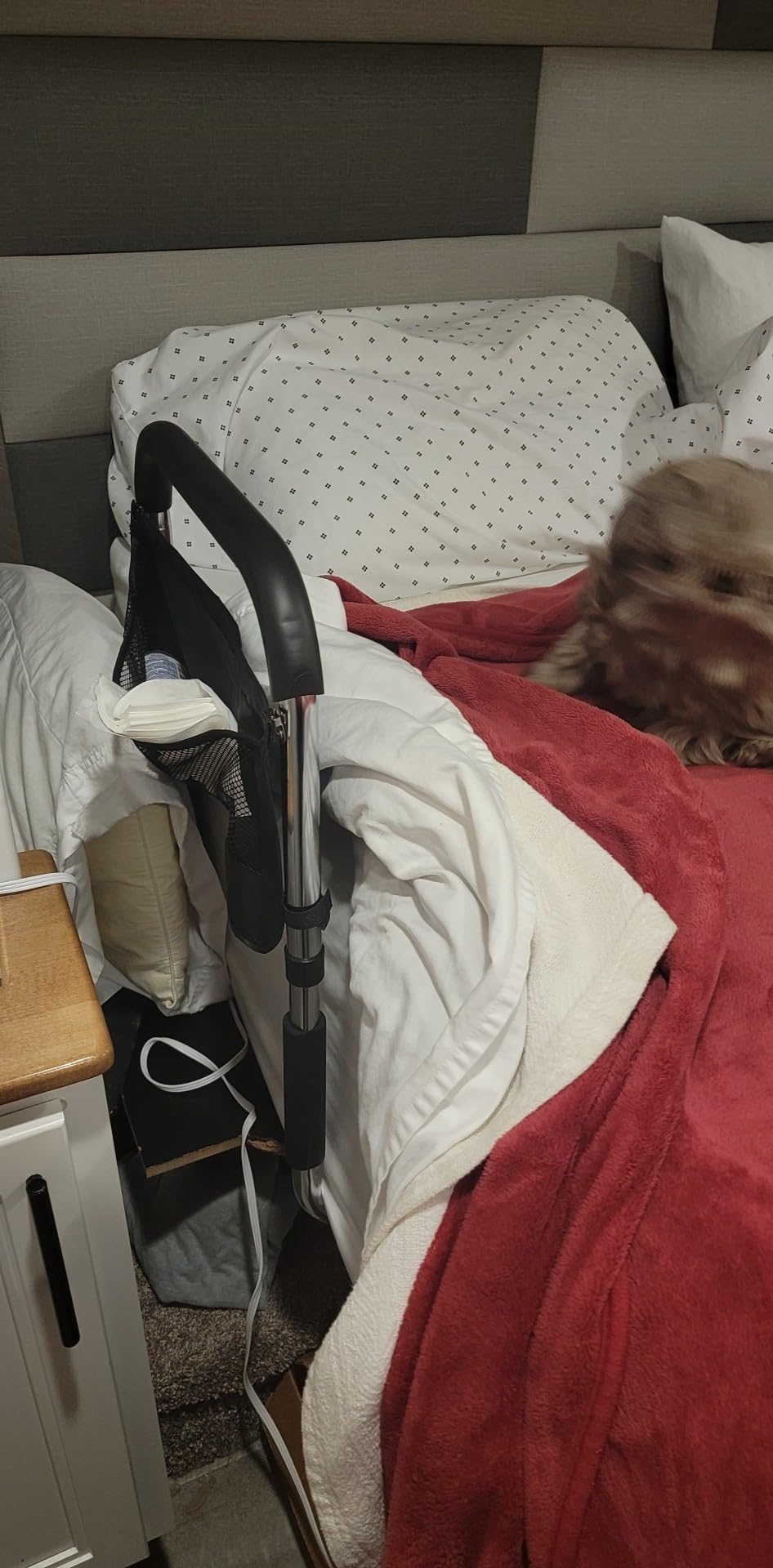 Medical king Bed Assist Rail Without Legs Bed Assist Rails for Seniors ASTM Approved Bed Assist bar with Storage Pocket Easy to get in or Out of Bed Safely with Floor Support customer photo 1