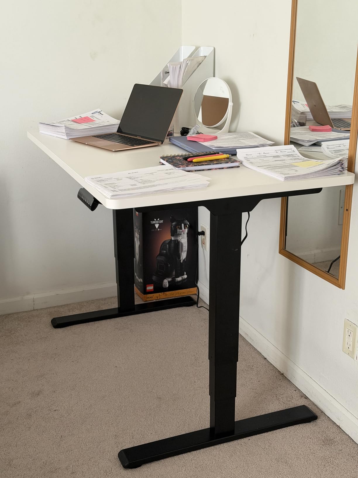 FLEXISPOT E6 3-Stage Dual Motor Electric Standing Desk 48 x 30 Sit Stand Up Desk, Holds 220 lbs, Adjustable Height w/ Memory Presets, One-Piece Black Desktop & Black Frame, Ships in 2 Boxes customer photo 1