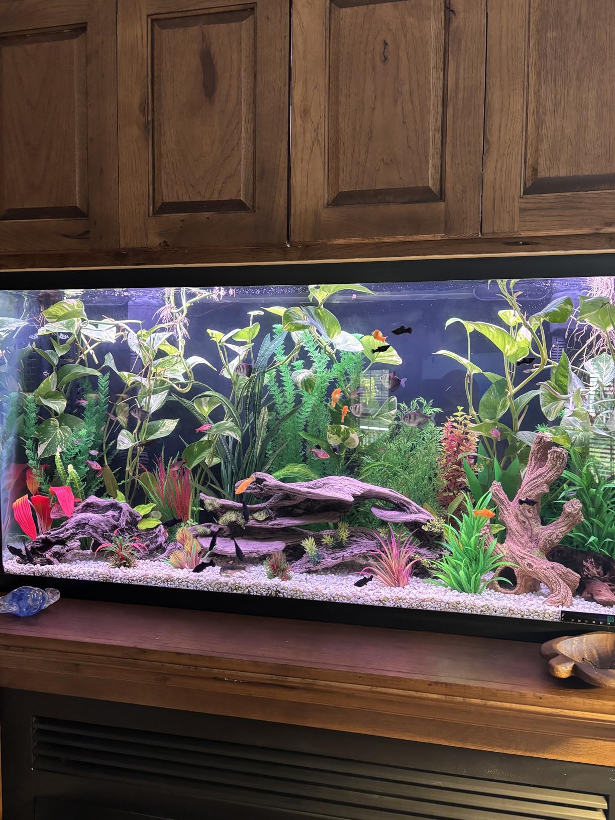 hygger 18W Smart Aquarium Light, Bluetooth LED Light with App Control, Full Spectrum Fish Tank Light with 24/7 Lighting Cycle, 5 Modes, Adjustable Timer, for 12