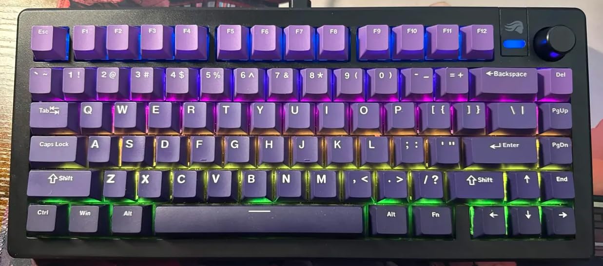 dagaladoo Double Shot PBT keycaps,Gradient Purple caps 75 Percent, 138-keys Cherry Profile Custom keycaps Set for 100% 75% 65% 60% TKL US Layout Mechanical Keyboard customer photo 2