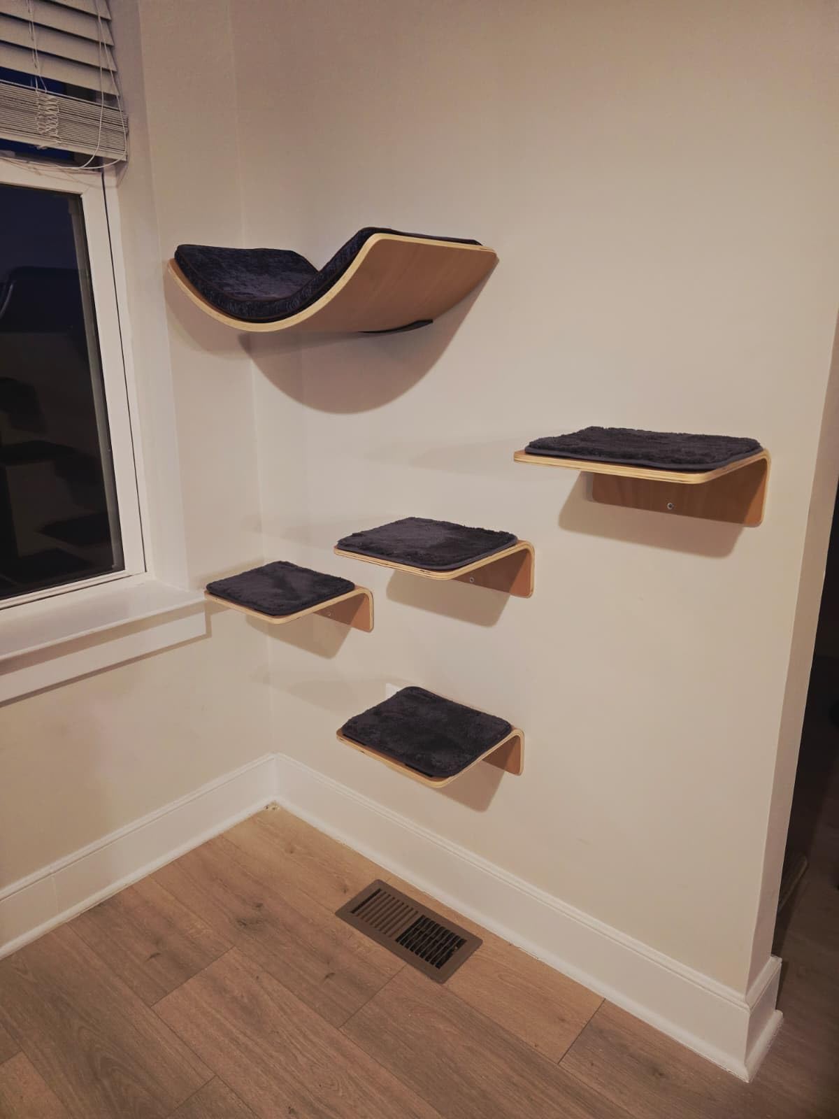 Cat Wall Shelf with Two Steps - Curved Cat Shelves and Perches for Wall (Large Size) - Wall Mounted Cats Furniture for Sleeping, Playing, Climbing, and Lounging customer photo 1