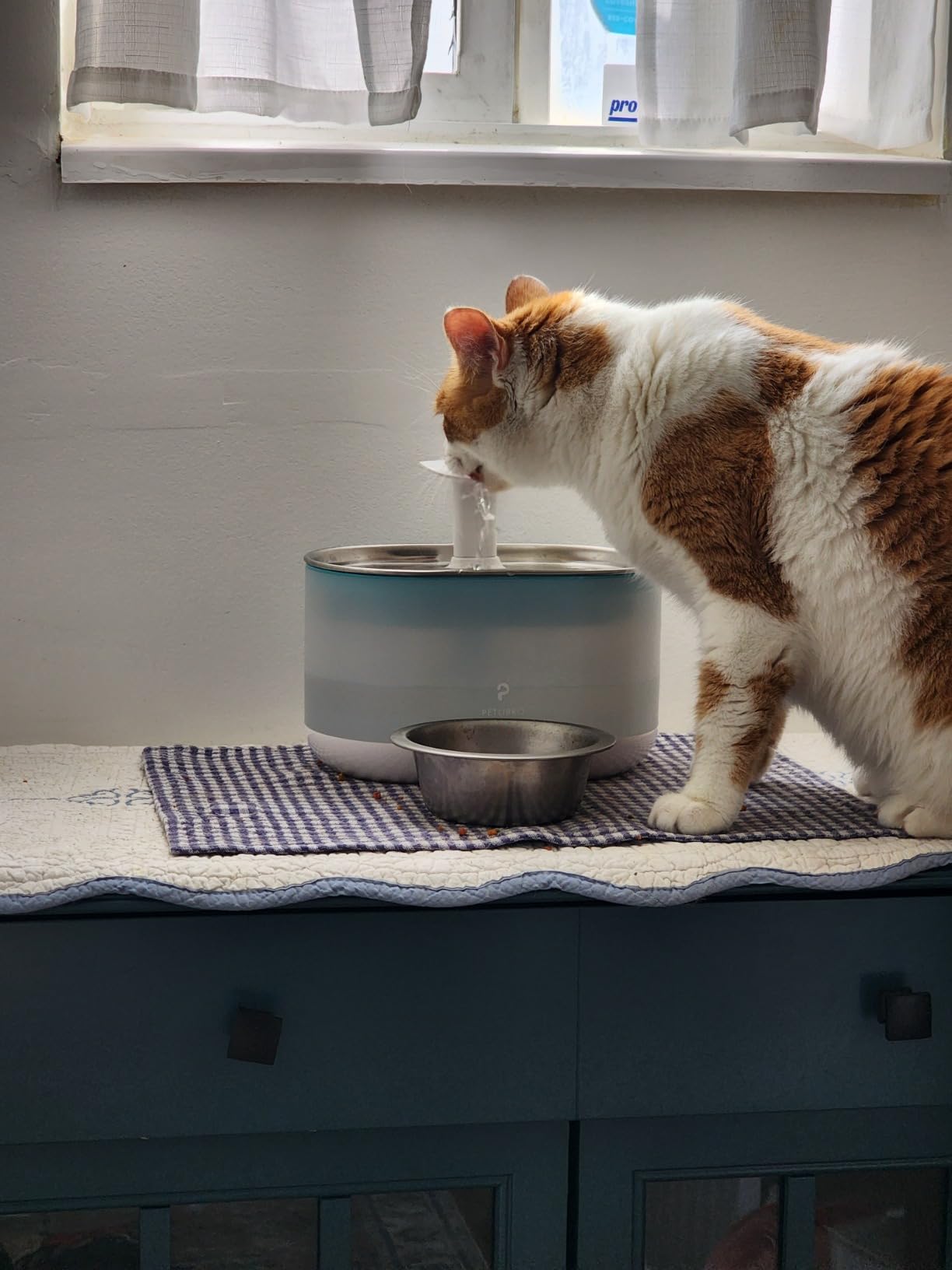 PETLIBRO Cat Water Fountain Stainless Steel, Ultra Quiet, 71fl oz/2.1L Automatic Cat Fountain, Two Flow Modes, BPA-Free Capsule Metal Healthy Pet Water Fountain for Cats Inside with 4 Large Filters customer photo 2