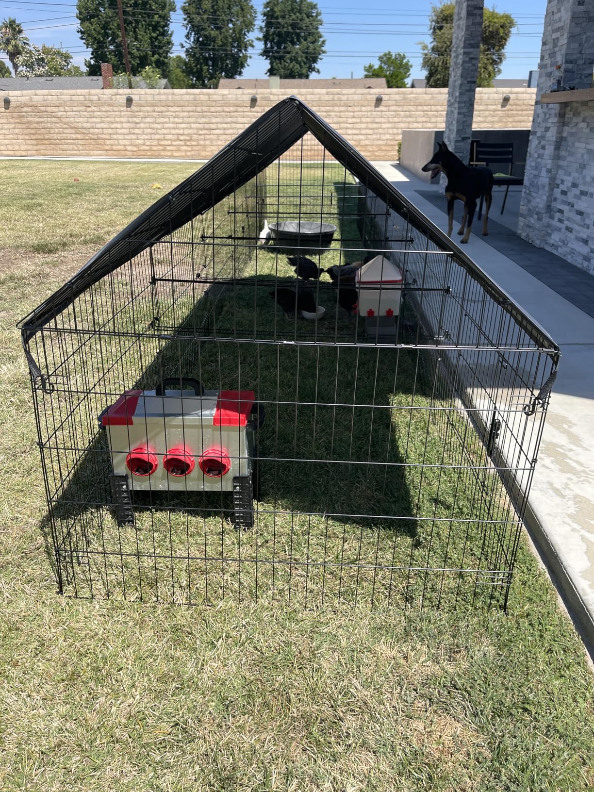 PawGiant Chicken Coop, Chicken Run Pen for Yard with Cover Outdoor Metal Portable Chicken Tractor Cage Enclosure Crate Outside for Small Animals Duck Rabbit Hen 86x40 customer photo 2