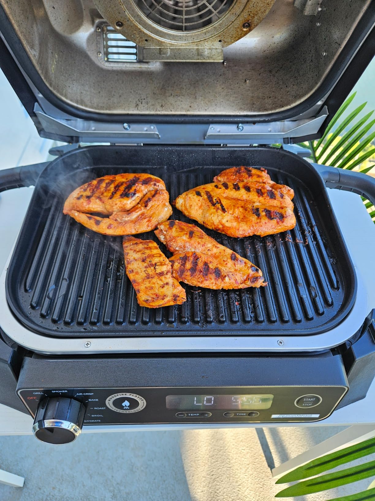 Ninja Woodfire Series OG701 7-in-1 Grill, BBQ, Roast, Air Fry, Dehydrate, Broil, Smoke | Portable & Weather Resistant | Cook Up To 6 Steaks & 30 Hot Dogs customer photo 2