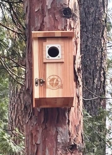 Bird Houses for Outside 1-1/2