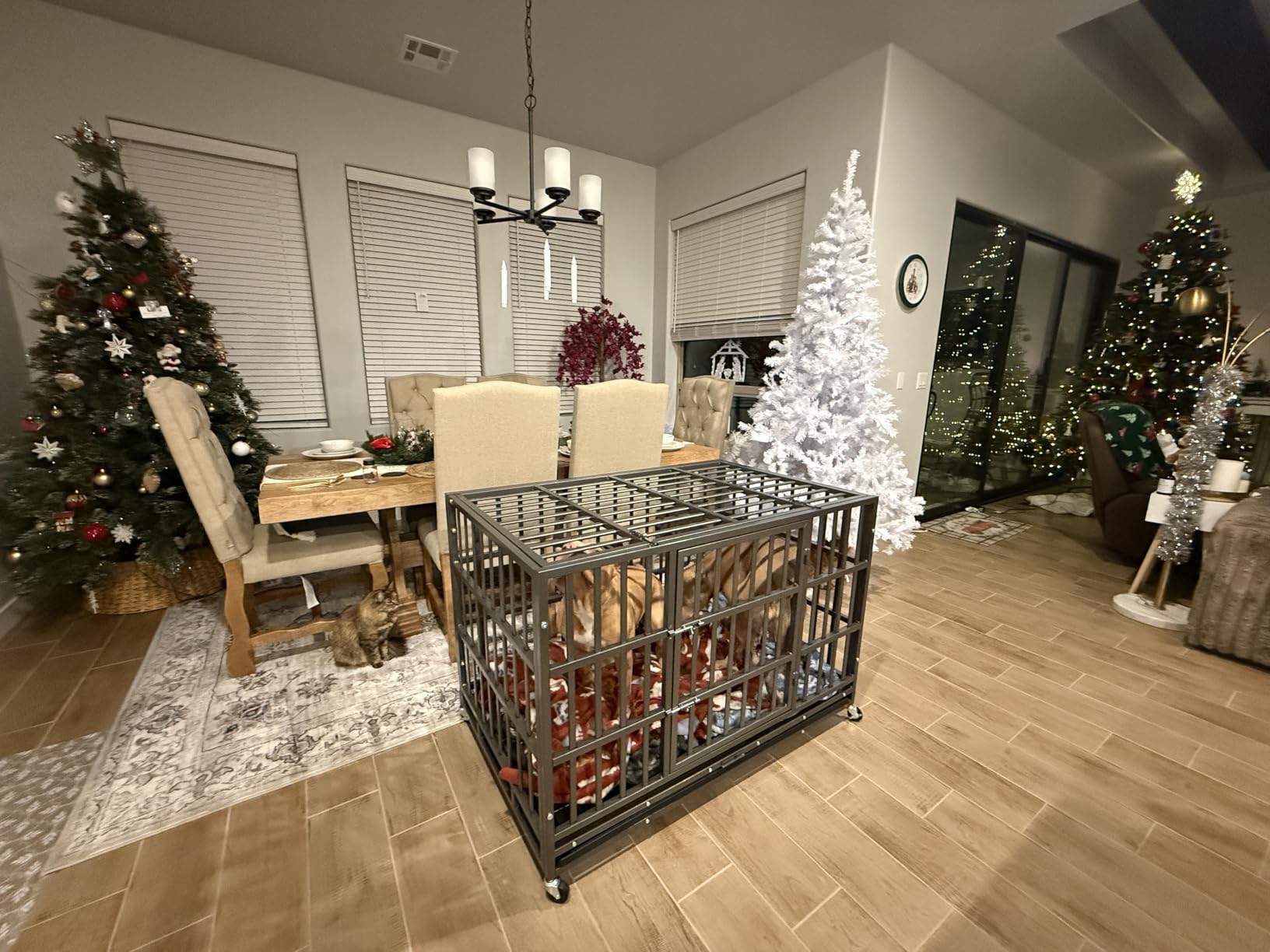 48 Inch Heavy Duty Dog Crate, Indestructible Escape-Proof Dog Kennel for High Anxiety Large Dogs, Strong Metal Pet Cage with Double Doors, Lockable Wheels & Removable Tray, XL XXL XXXL customer photo 2