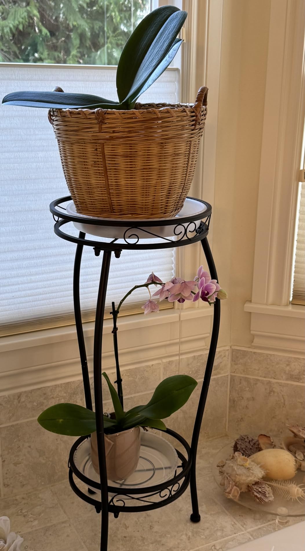 Kavlium Plant Stand Indoor Outdoor, Tall Black Metal, 2 Tier 27.1 Inch customer photo 1
