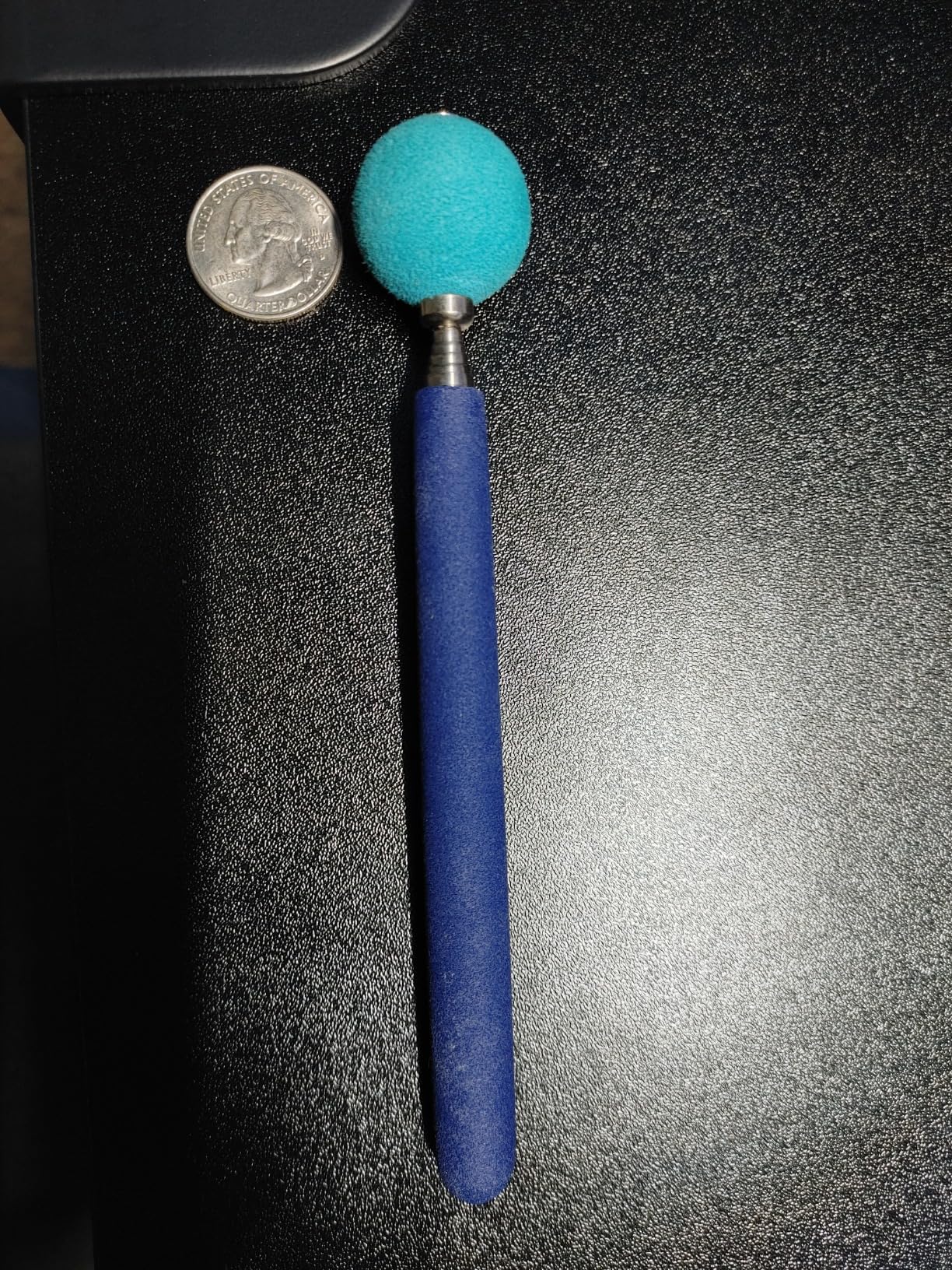 Company of Animals Coachi Target Stick, Telescopic Design with Large Ball for Target, Dog Accessory for Clicker & Agility Training, Teach Commands and Tricks customer photo 2