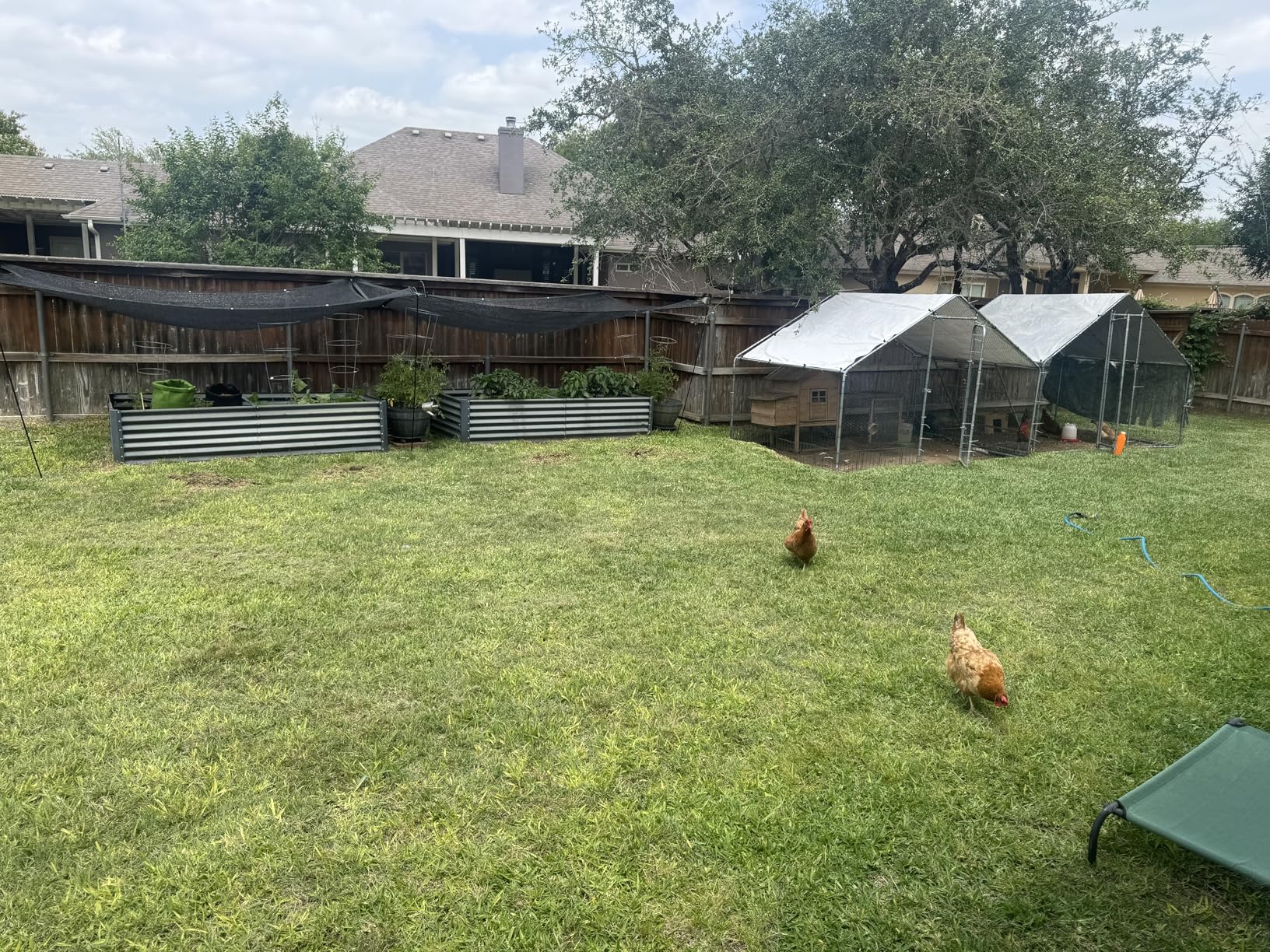 Large Metal Chicken Coop Walk-in Poultry Cage Hen Duck Run House with Waterproof & Anti-UV Cover Galvanized Rabbits Habitat Spire Shaped Cage for Outdoor Yard Farm Use customer photo 1