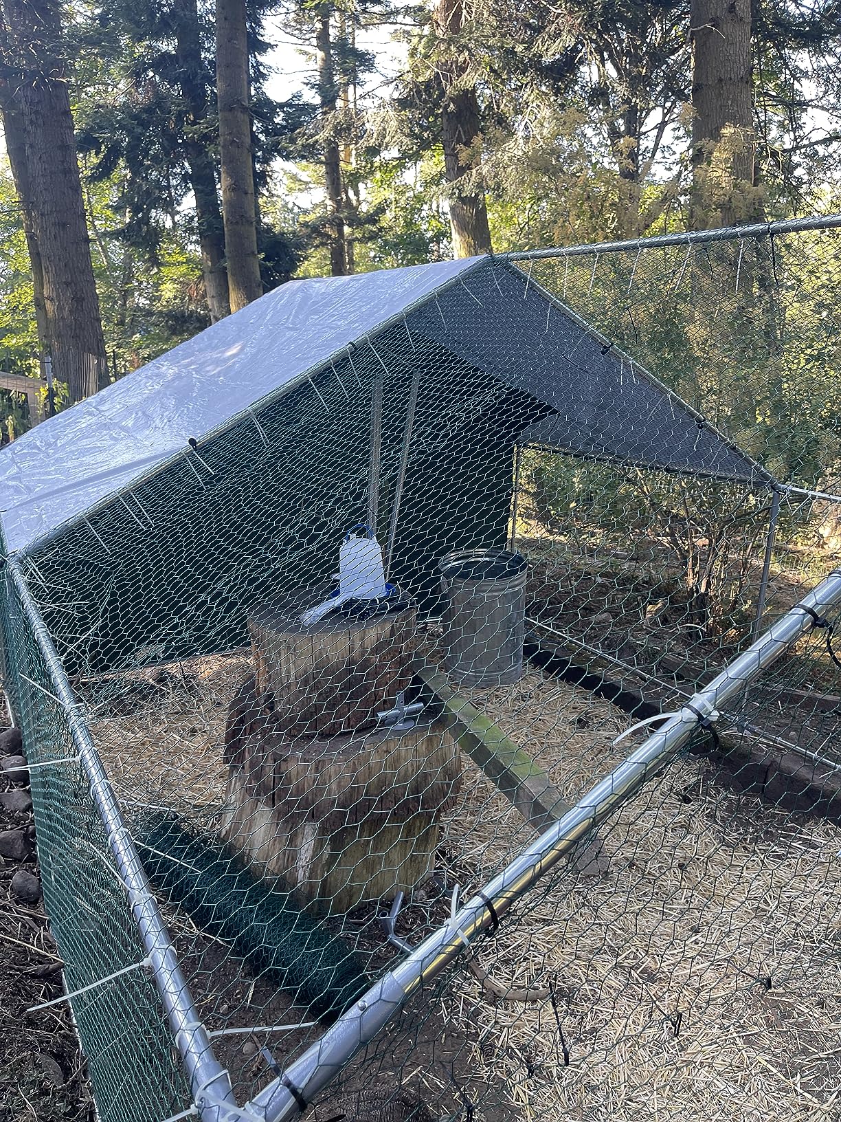 Large Metal Chicken Coop Walk-in Poultry Cage Hen Duck Run House with Waterproof & Anti-UV Cover Galvanized Rabbits Habitat Spire Shaped Cage for Outdoor Yard Farm Use customer photo 2