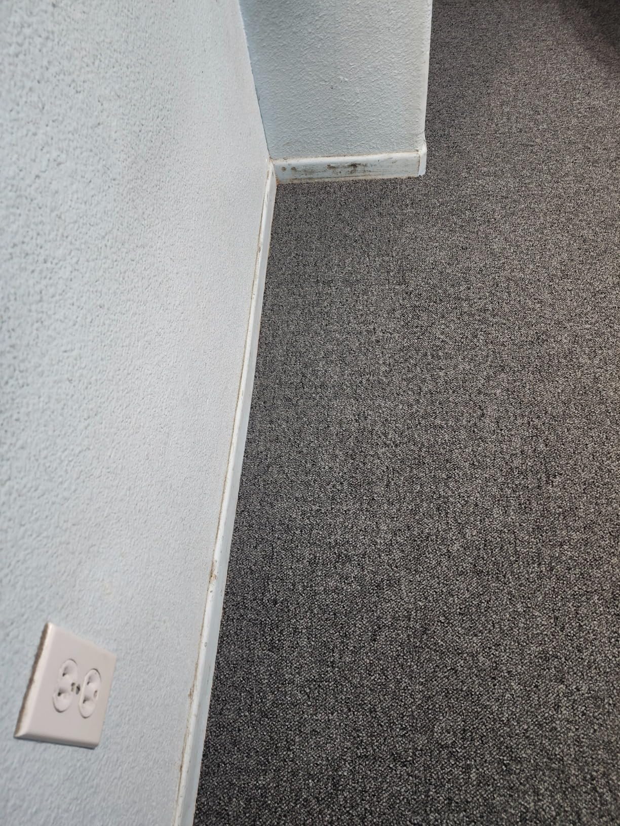 ZY396 Wide Carpet Stair Tool (1PC Carpet Tucking Hand-held Tucker Tool Plastic) customer photo 1