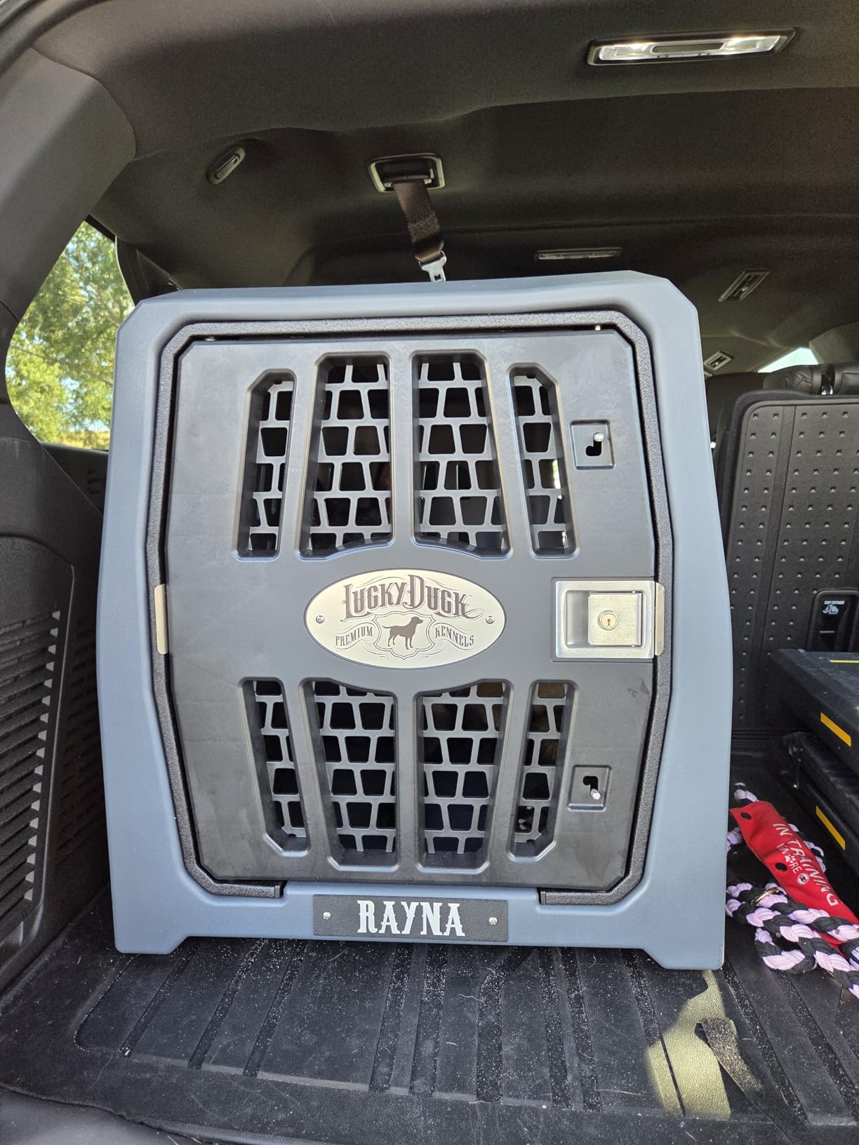 Lucky Dog Kennel, Durable Crash Tested Portable Dog Crates, Large customer photo 1