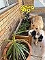 Gardena Micro-Drip-System Drip Irrigation Set Terrace (30 Plants): Starter Set customer photo 1