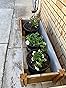 Gardena Micro-Drip-System Drip Irrigation Set Terrace (30 Plants): Starter Set customer photo 2