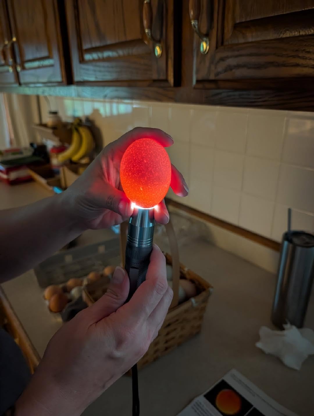 Egg Candler, Egg Incubator Light【2026 Upgraded Charger】 Egg Candler Candling Checker Light for Chicken Quail Dark Canary Pigeon All Eggs Battery Powered customer photo 1