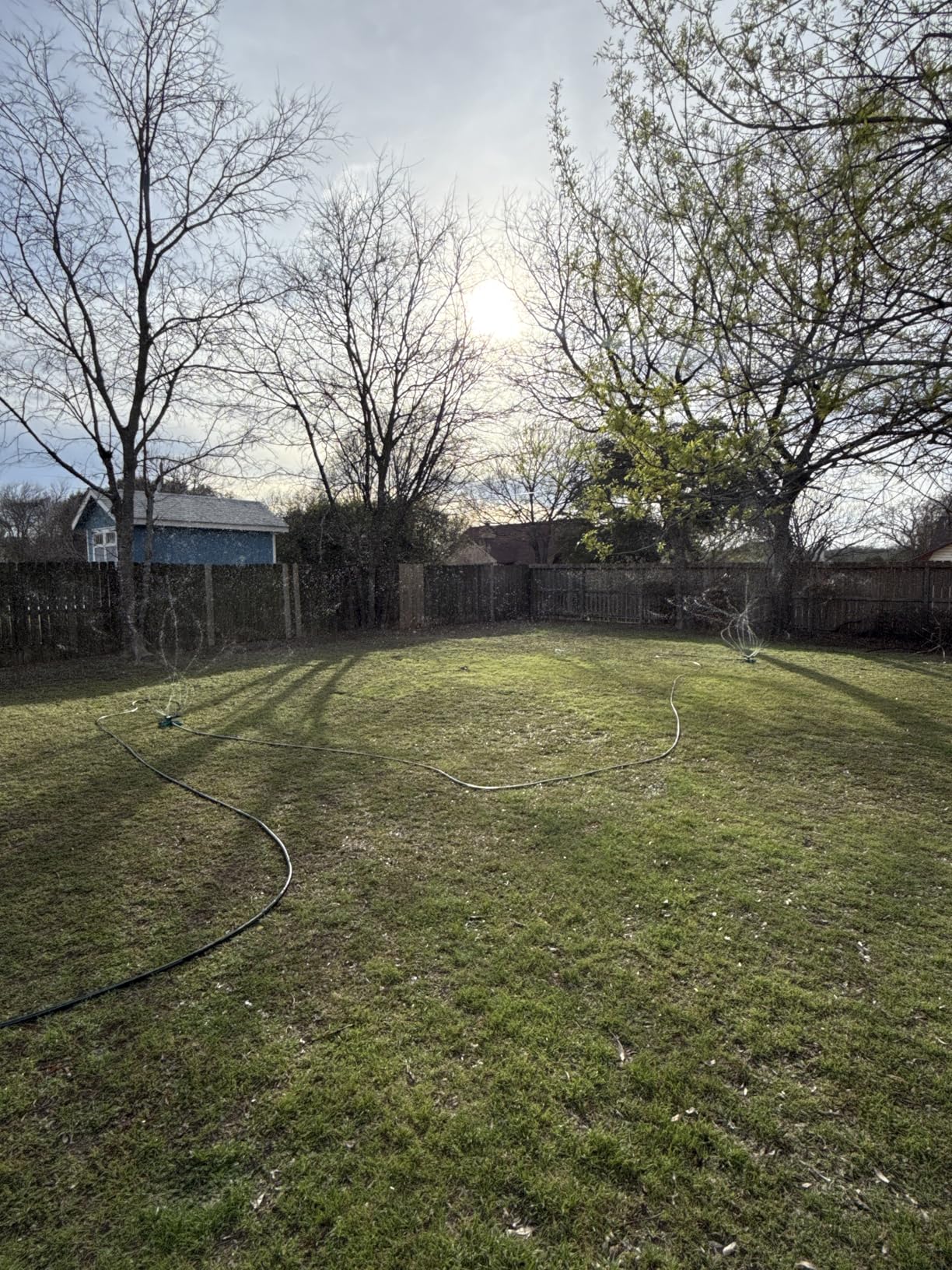 Joeys Sprinkler for Yard, Rotating Garden Sprinkler for Large Area Coverage, Lawn and Yard Sprinklers customer photo 1