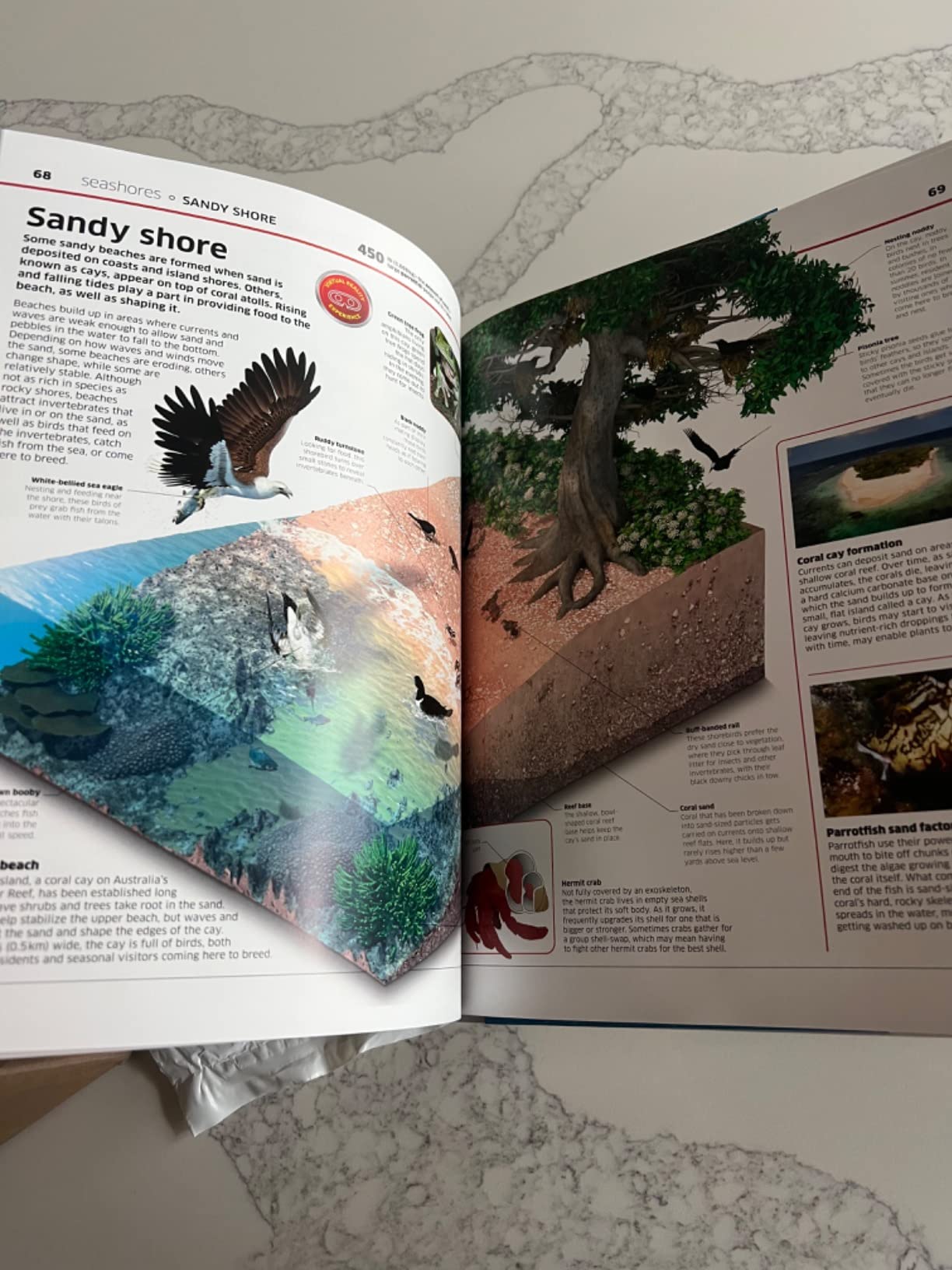Abacus Brands Virtual Reality Oceans! Gift Box - Illustrated Interactive VR Book and STEM Learning Activity Set - for Ages 8 and Up customer photo 2