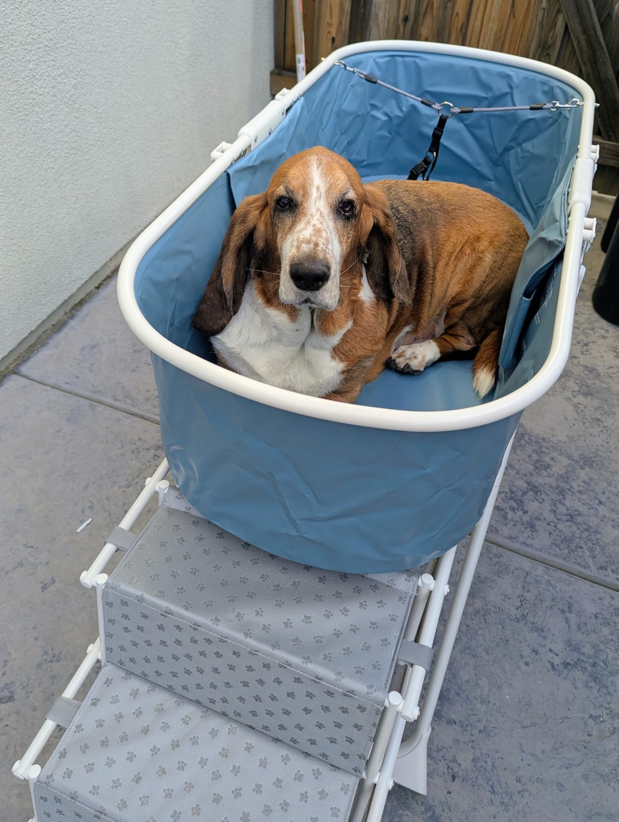 Furesh Big Dipper Dog Bath Tub with Stairs, Elevated Portable Foldable Wash Station with Steps for Bathing, Shower and Grooming, Indoor, Outdoor, for Medium to Large Size Dogs customer photo 2