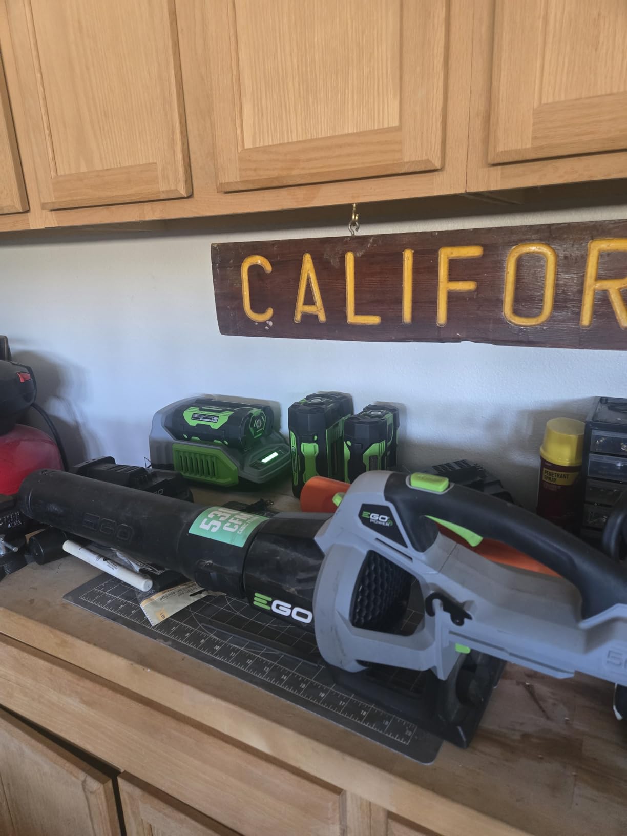 EGO POWER+ Pole Saw for Tree Trimming, Cordless Electric Pole Saw with Telescopic LED Cut Line Indicator, Battery and Charger Not Included - PS1000 customer photo 2
