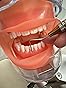 Head Model Dental Simulator Manikin Phantom with Bench Mount for Dentist Teaching 360-degree Adjustment customer photo 3