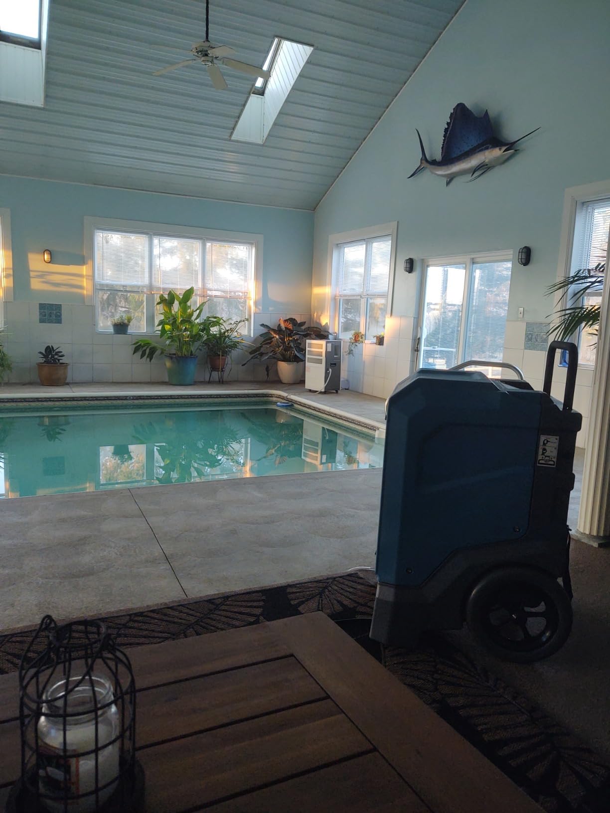 MOUNTO 310 Pints LGR Commercial Dehumidifier with Built-In Pump and Drain Hose - Portable, Heavy-Duty Dehumidifier with Wheels for Basements, Garages, Home, and Job Sites (Blue) customer photo 2
