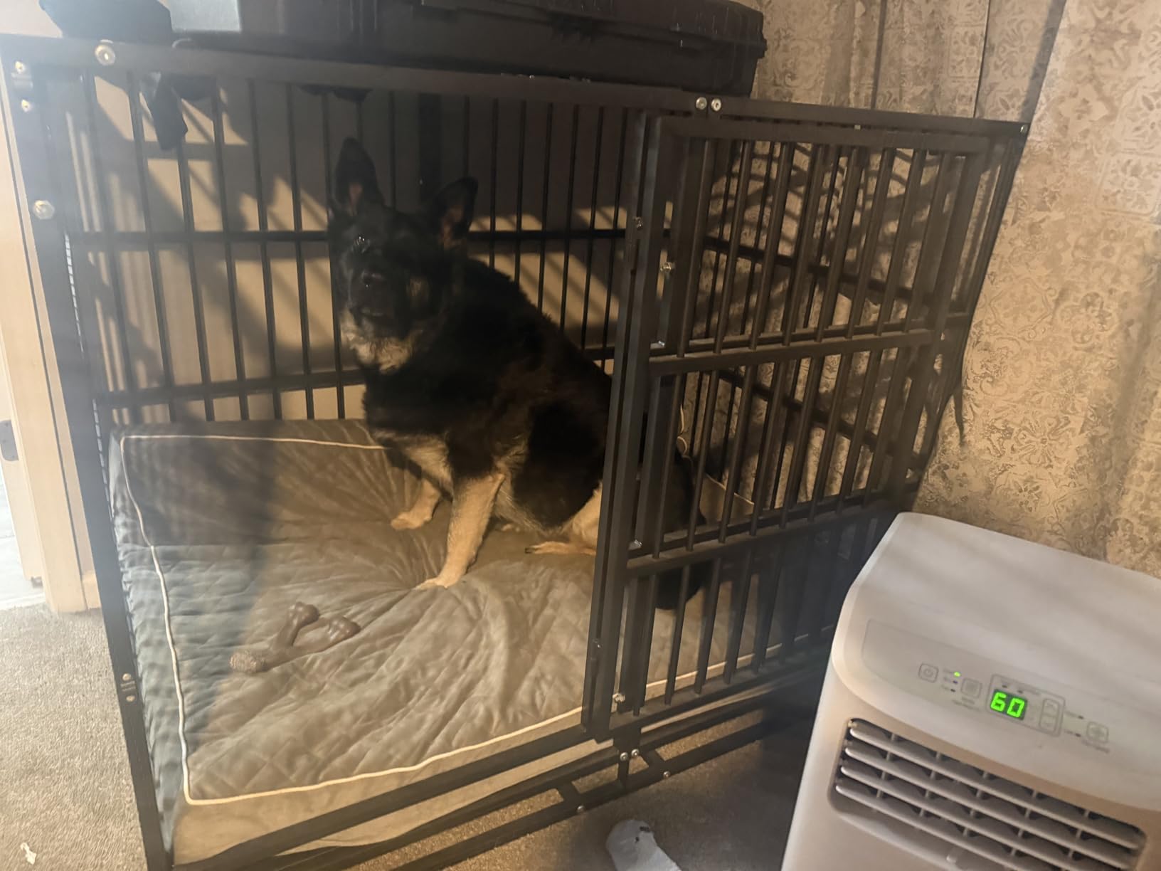 BOLDBONE 48 inch Heavy Duty Indestructible and Escape-Proof Dog Crate Cage Kennel for Large Dogs, High Anxiety Dog Crate with Removable Wire Trays and Wheels, Extra Large XL XXL, Black customer photo 2