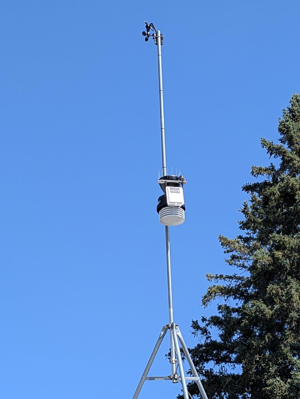Davis Vantage Pro2 Wireless Weather Station w/WeatherLink Console & Standard Radiation Shield customer photo 2