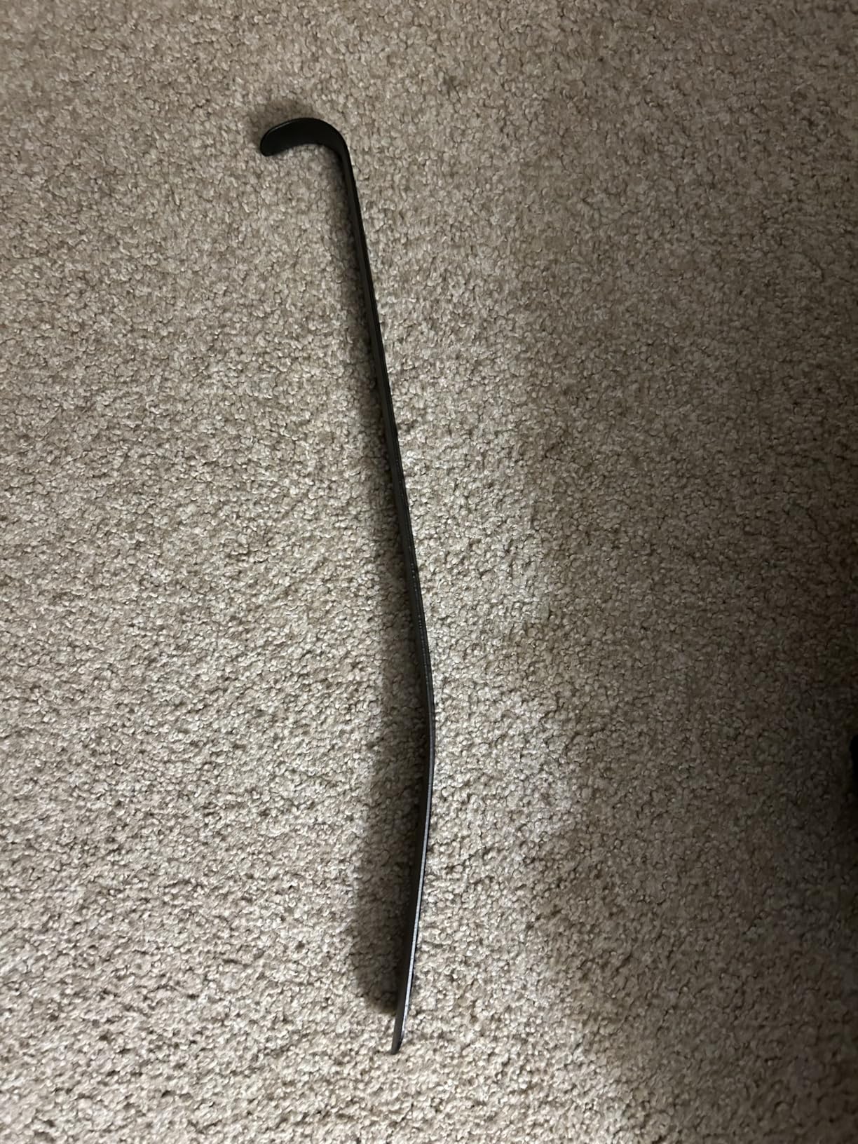 ZOMAKE Shoe Horn Long Handle for Seniors Men Women,16.5
